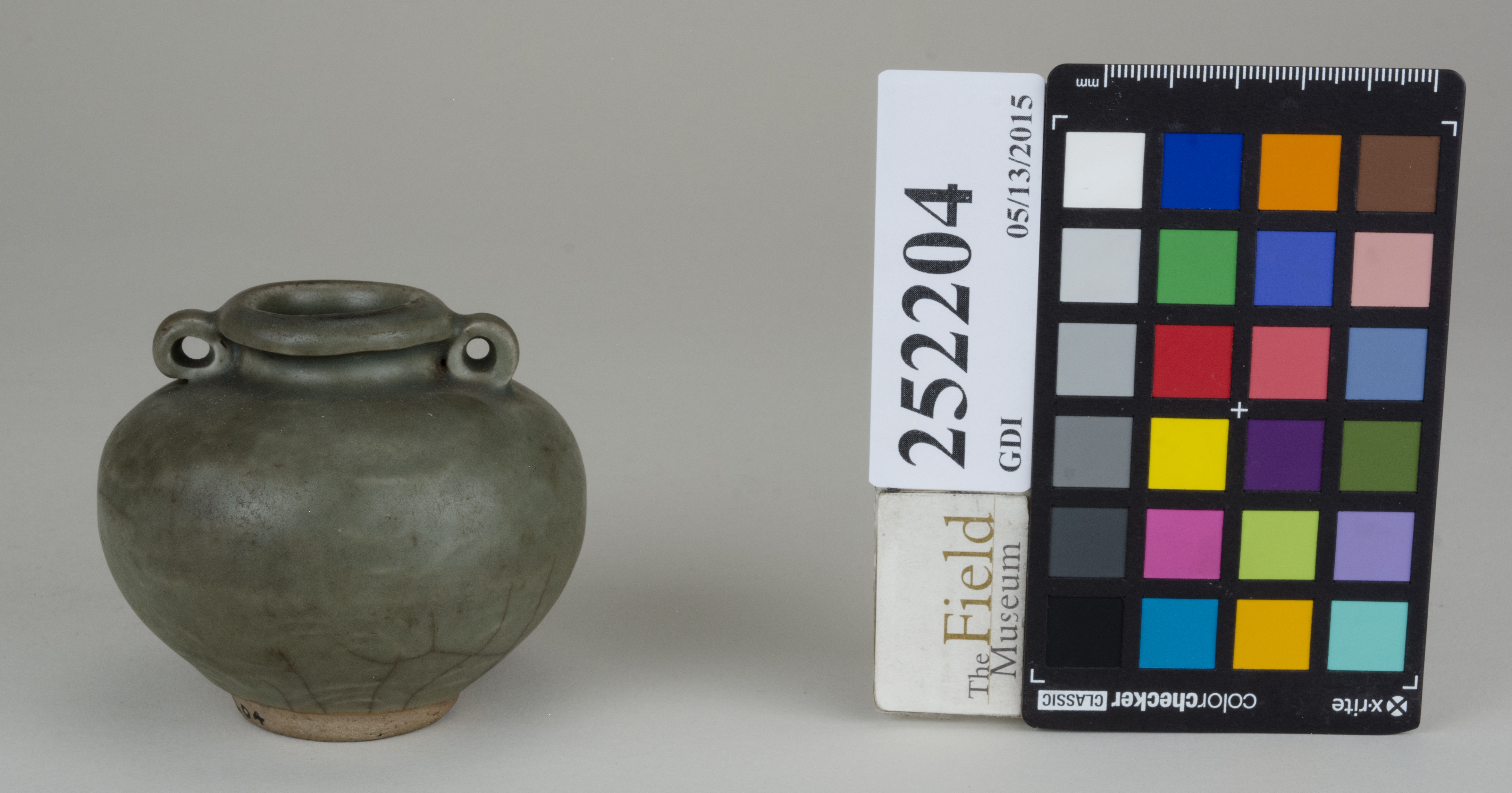 FrontAngle (c) Field Museum of Natural History - CC BY-NC 4.0