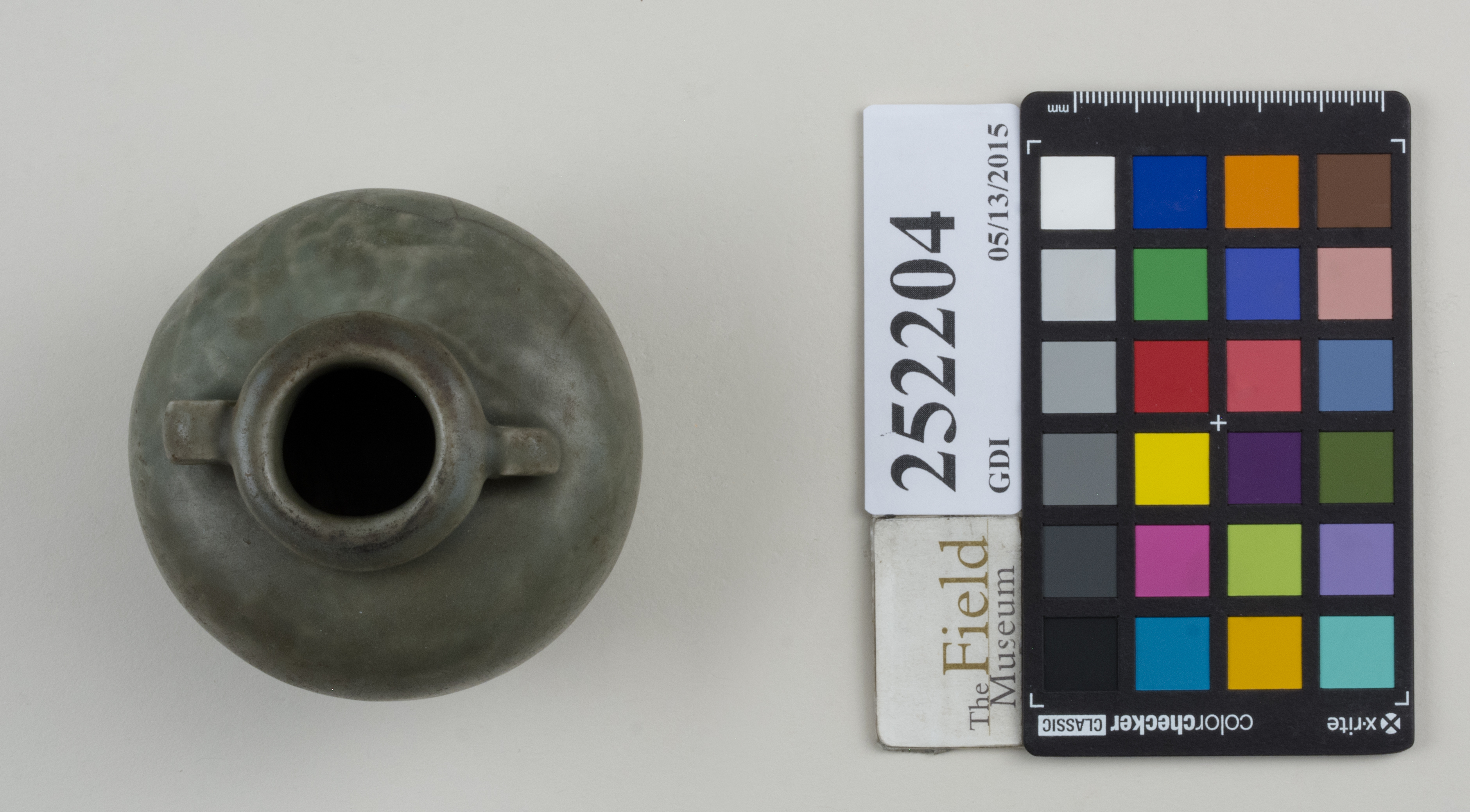 Top (c) Field Museum of Natural History - CC BY-NC 4.0