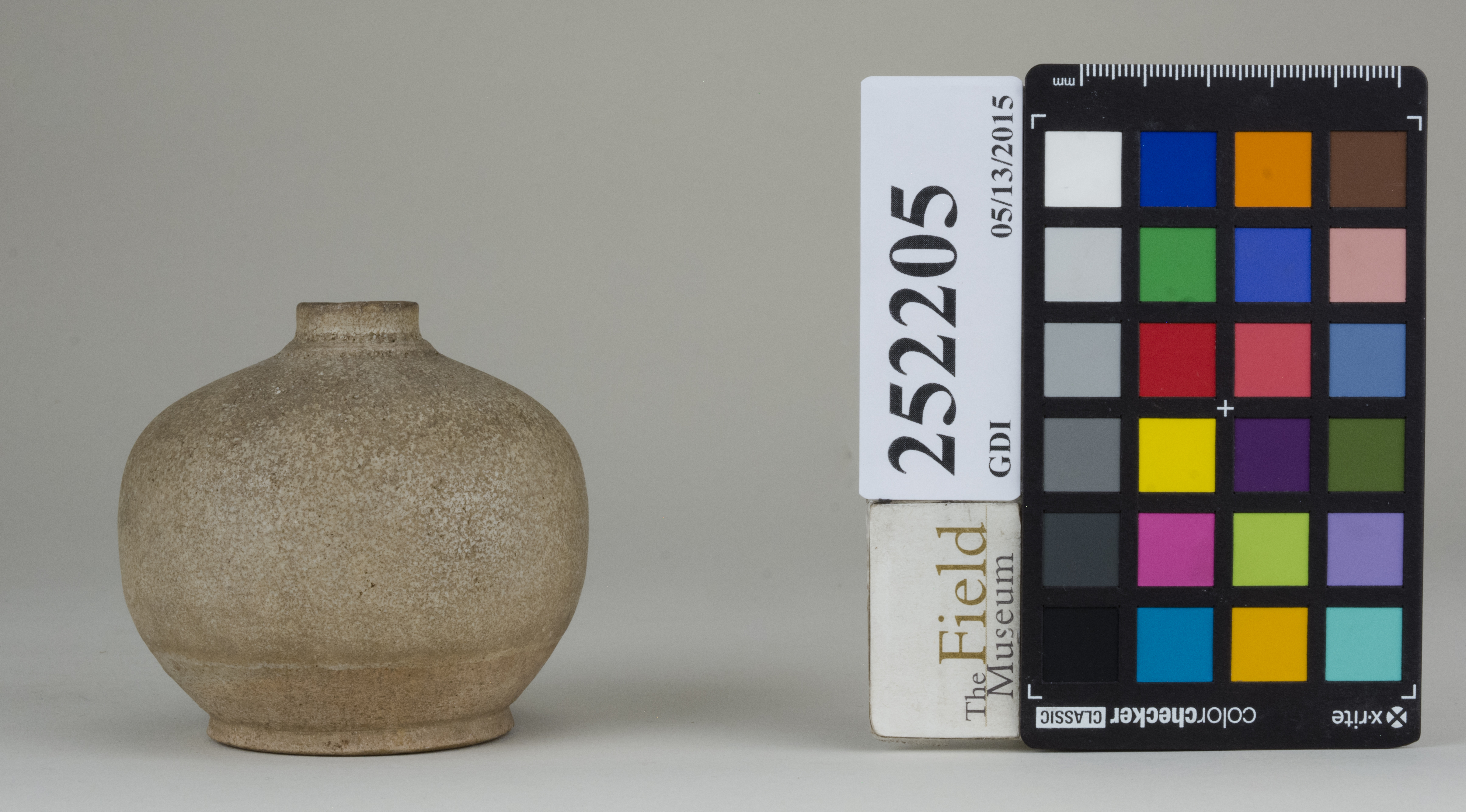 reference image, back (c) Field Museum of Natural History - CC BY-NC 4.0