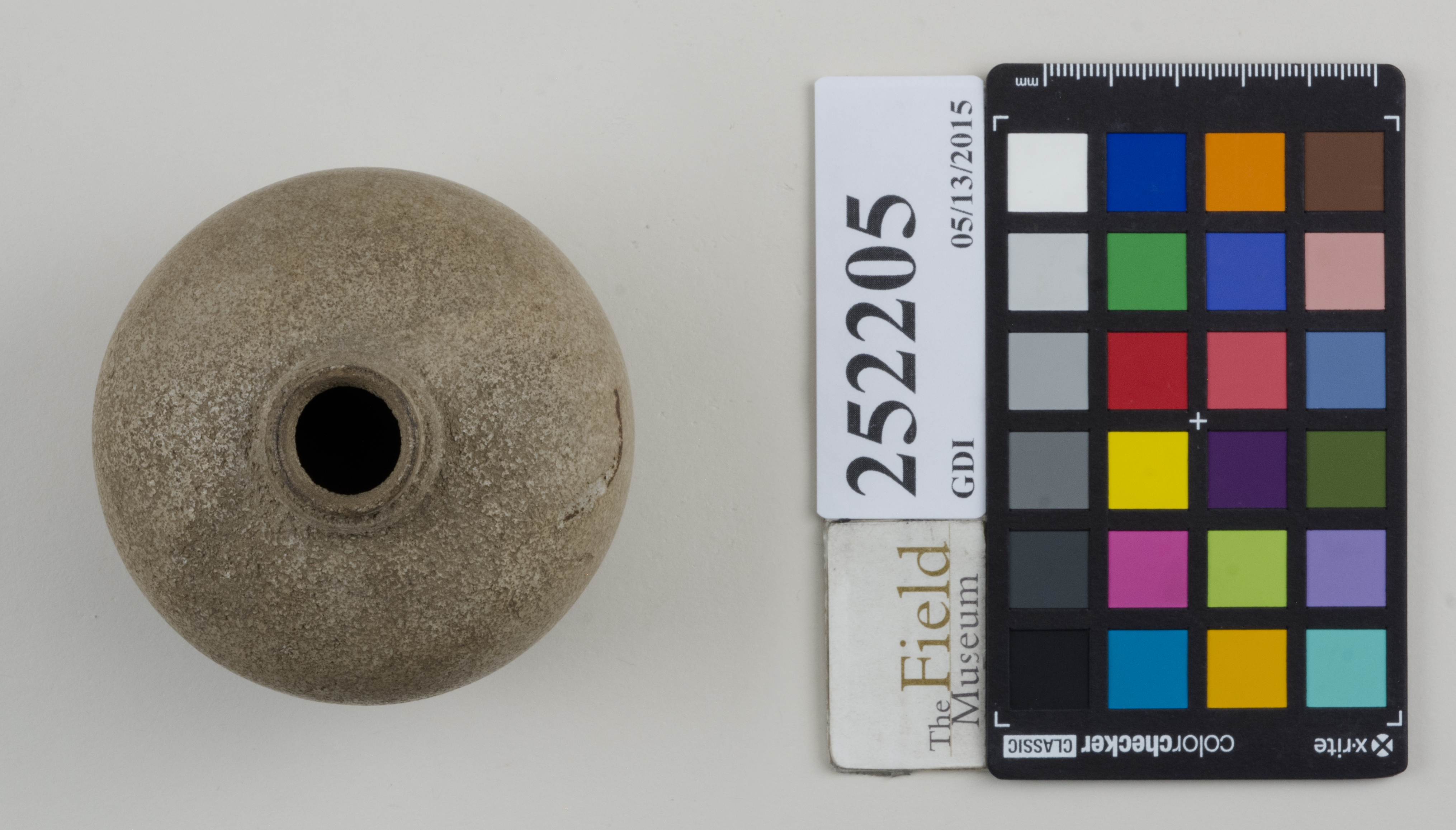 Top (c) Field Museum of Natural History - CC BY-NC 4.0