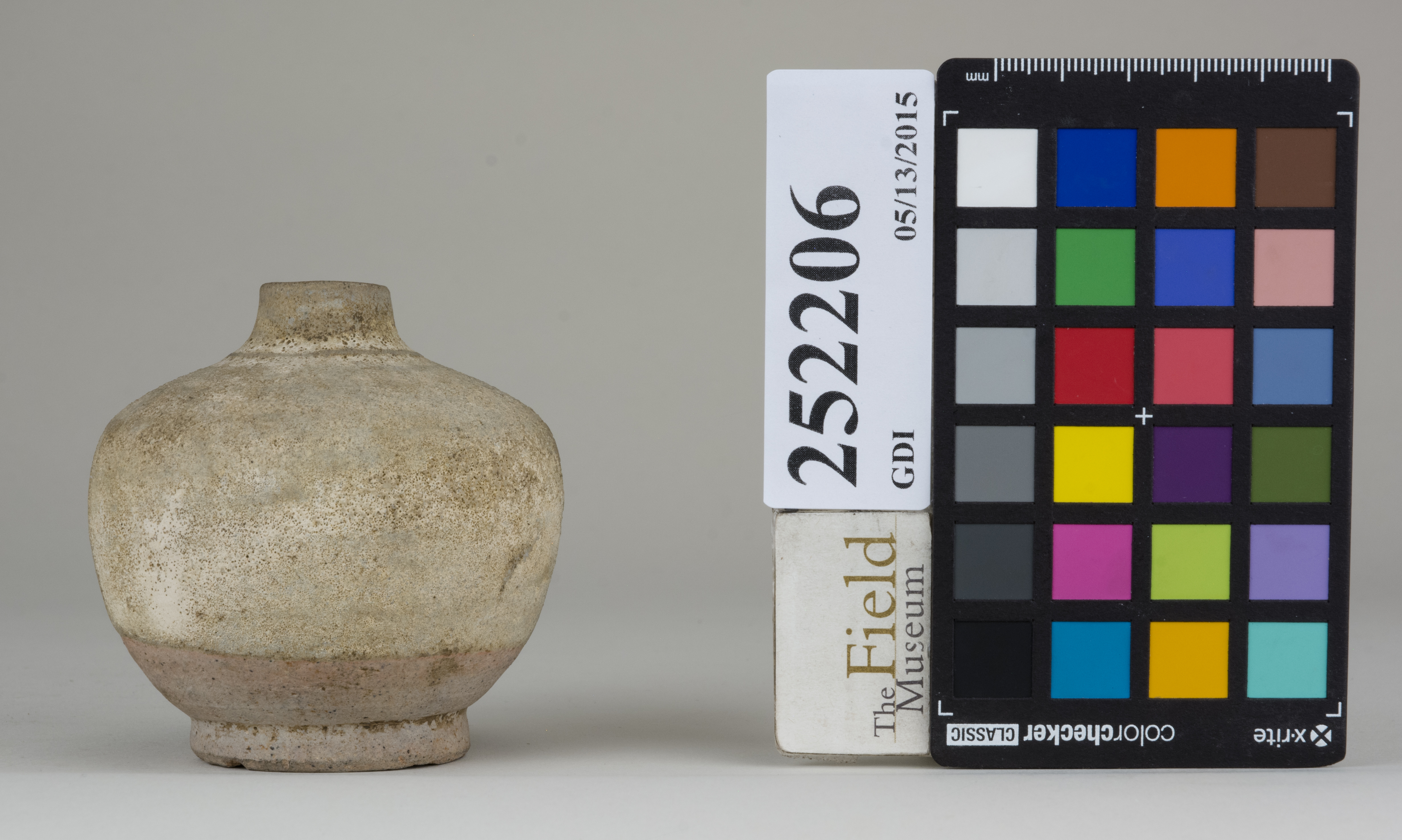 reference image, back (c) Field Museum of Natural History - CC BY-NC 4.0