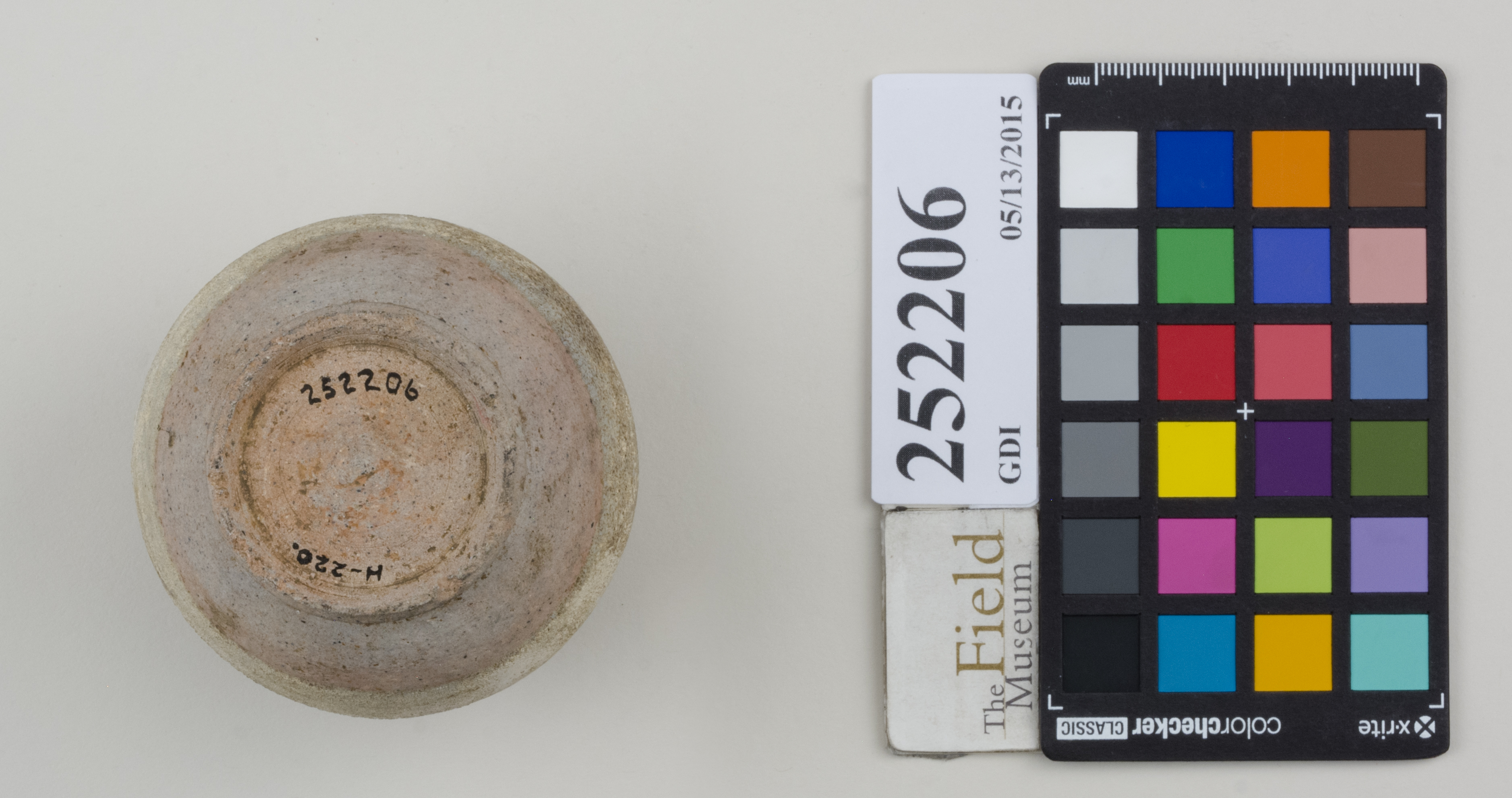 Bottom (c) Field Museum of Natural History - CC BY-NC 4.0