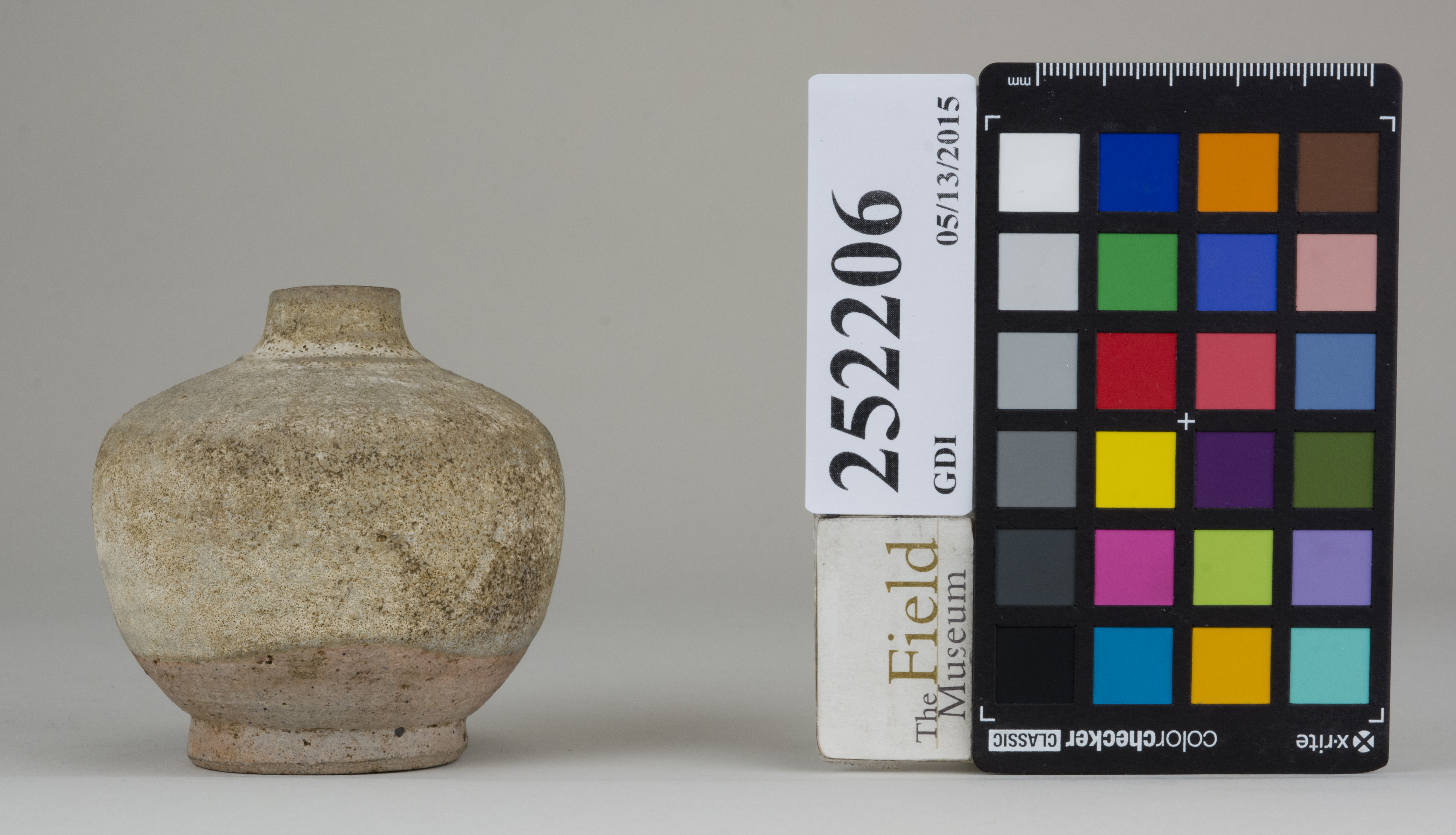 Front (c) Field Museum of Natural History - CC BY-NC 4.0