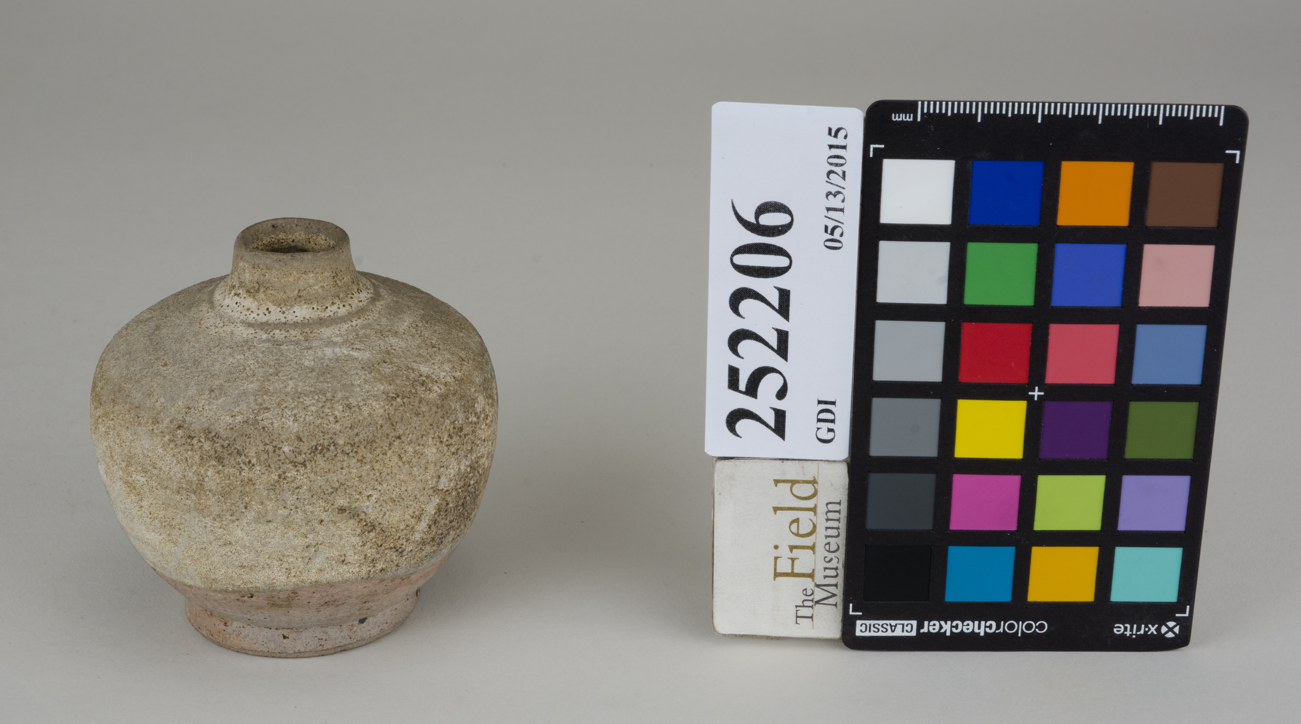 FrontAngle (c) Field Museum of Natural History - CC BY-NC 4.0