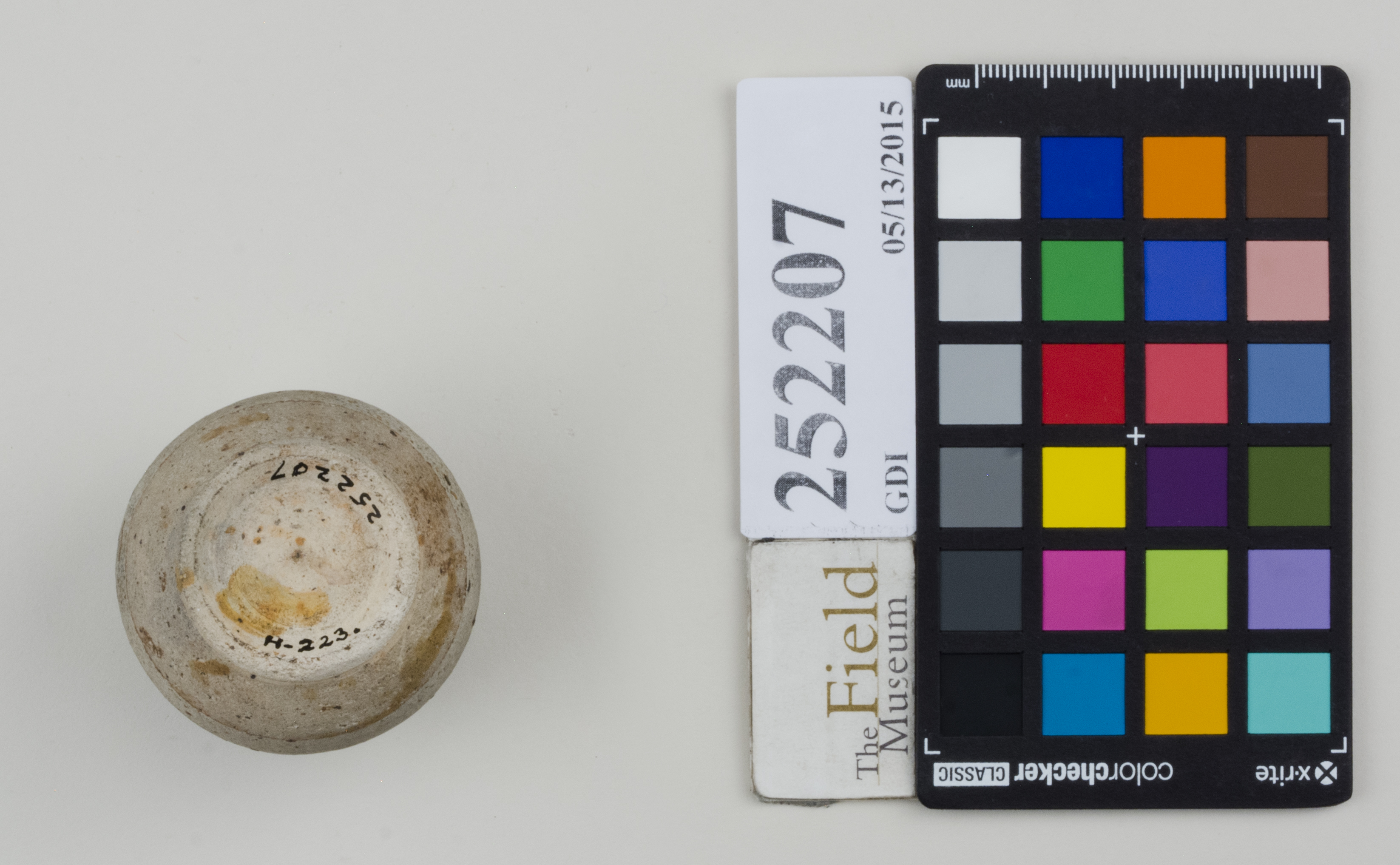 Bottom (c) Field Museum of Natural History - CC BY-NC 4.0