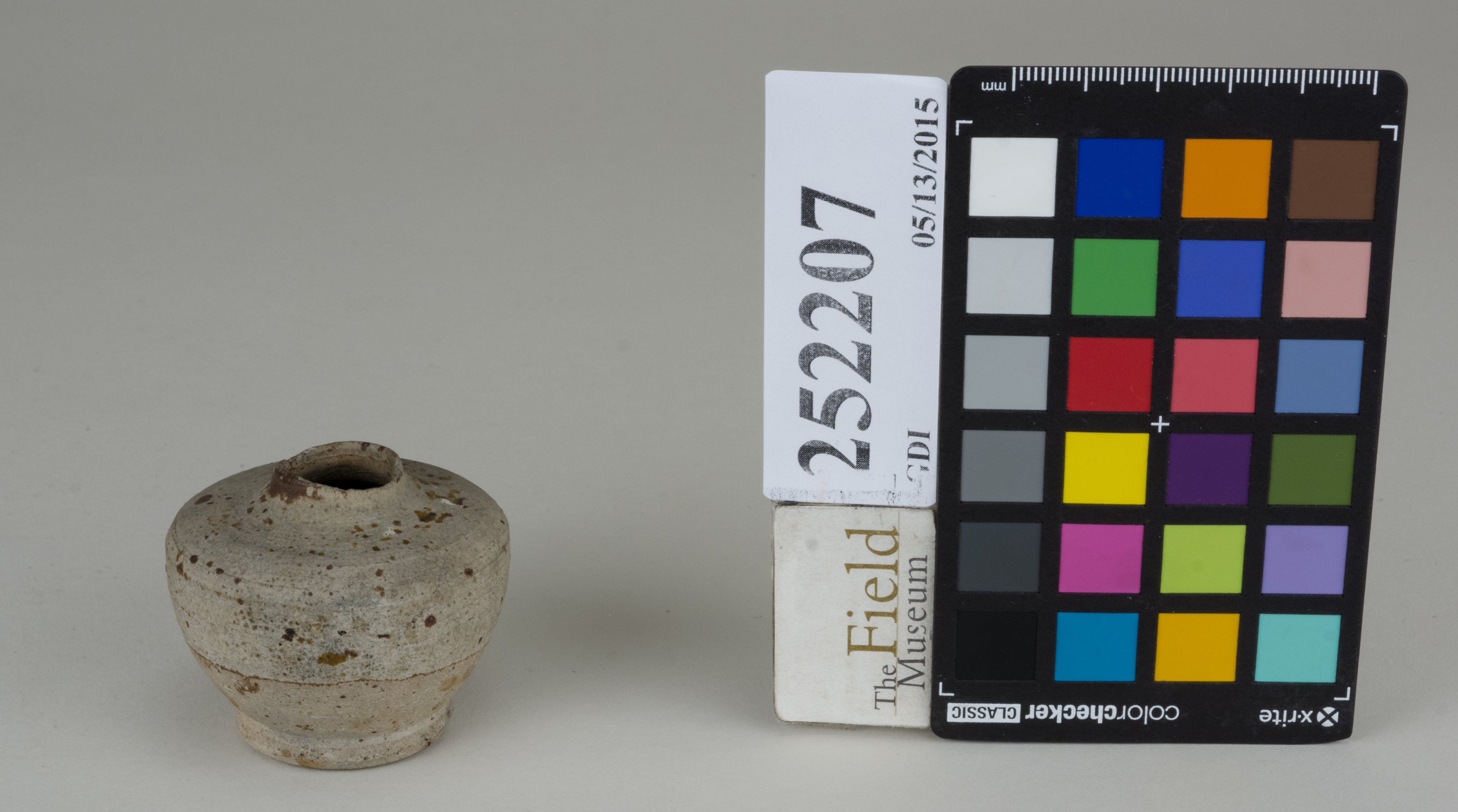 FrontAngle (c) Field Museum of Natural History - CC BY-NC 4.0