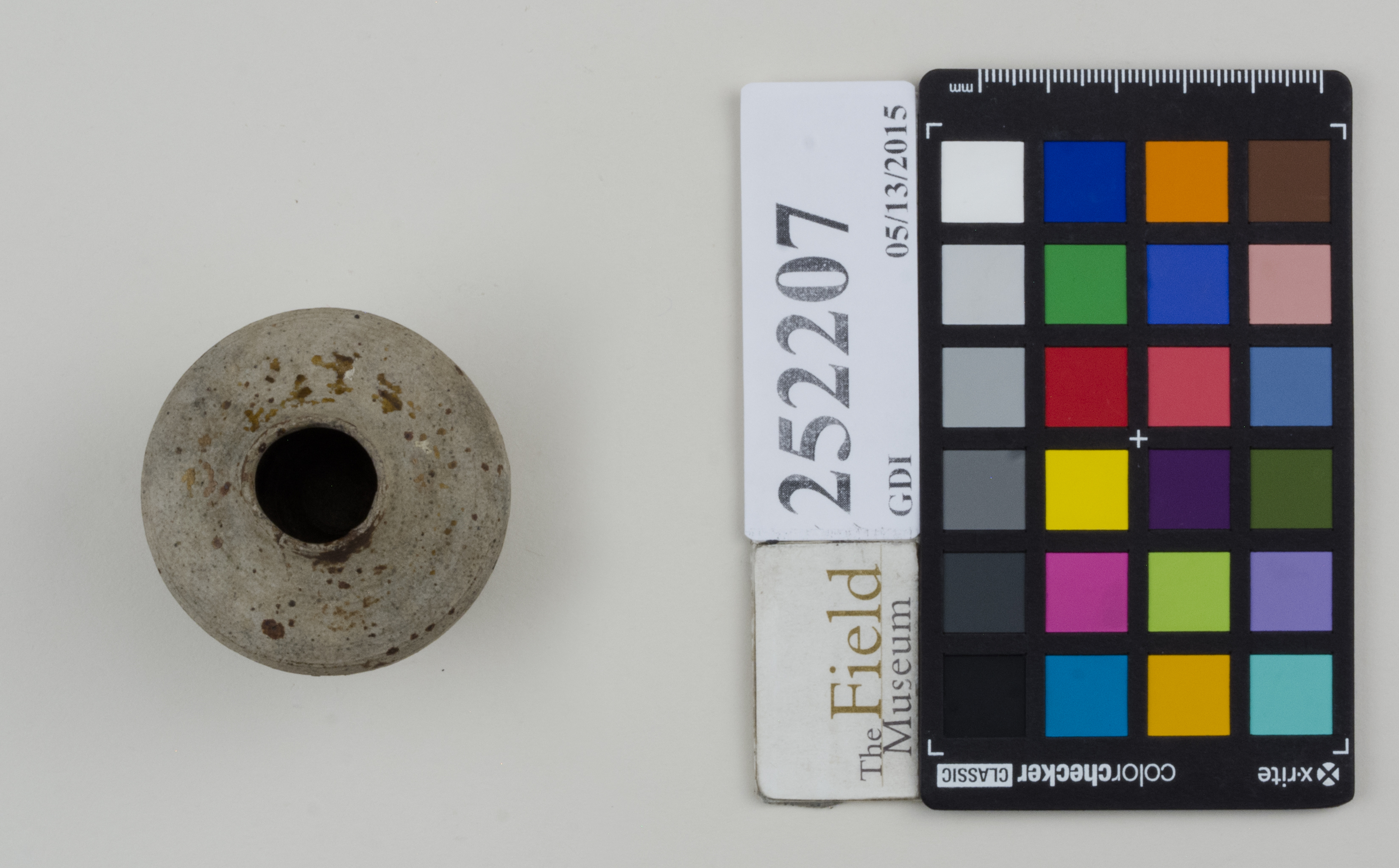 Top (c) Field Museum of Natural History - CC BY-NC 4.0