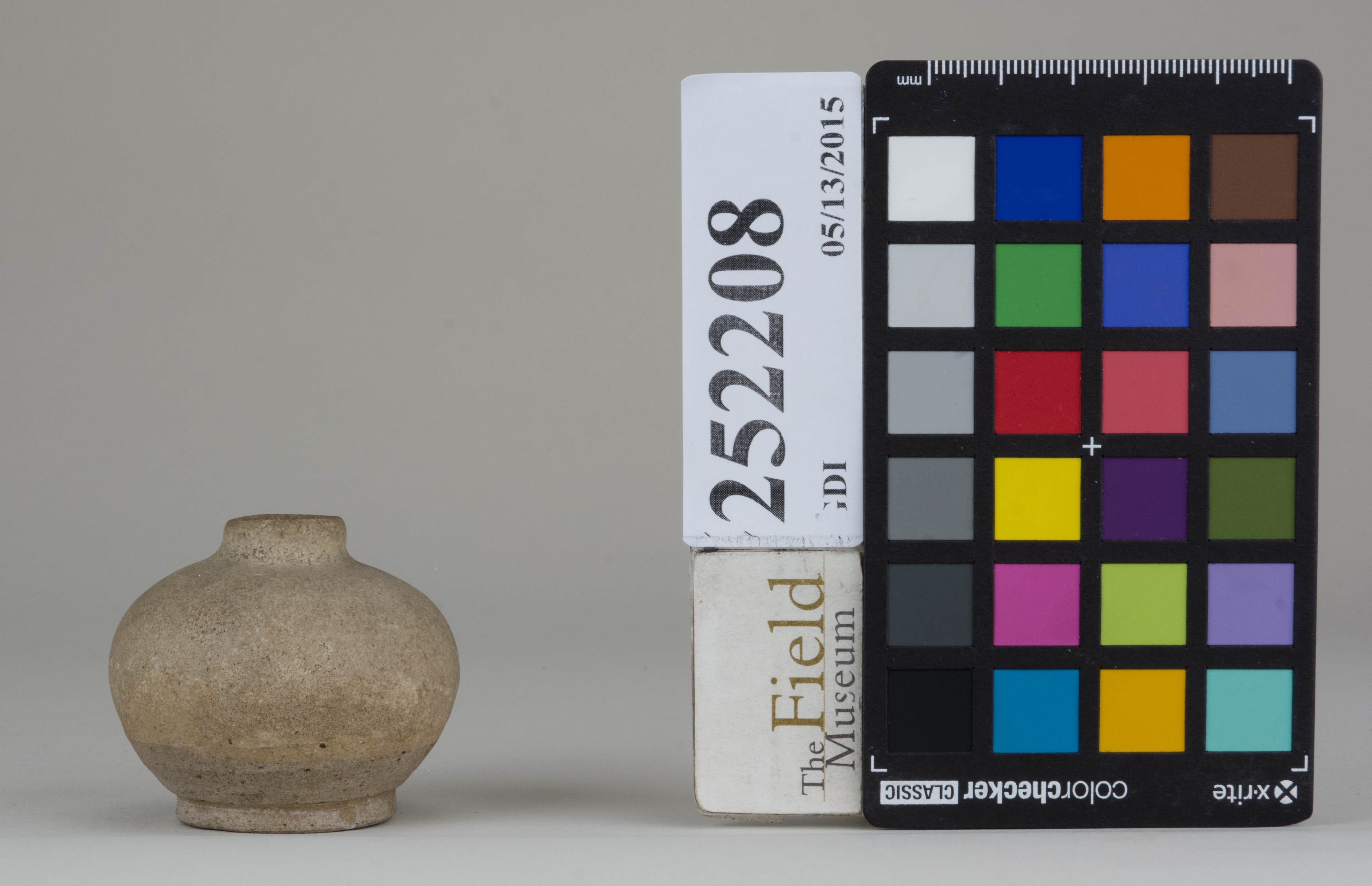 reference image, back (c) Field Museum of Natural History - CC BY-NC 4.0
