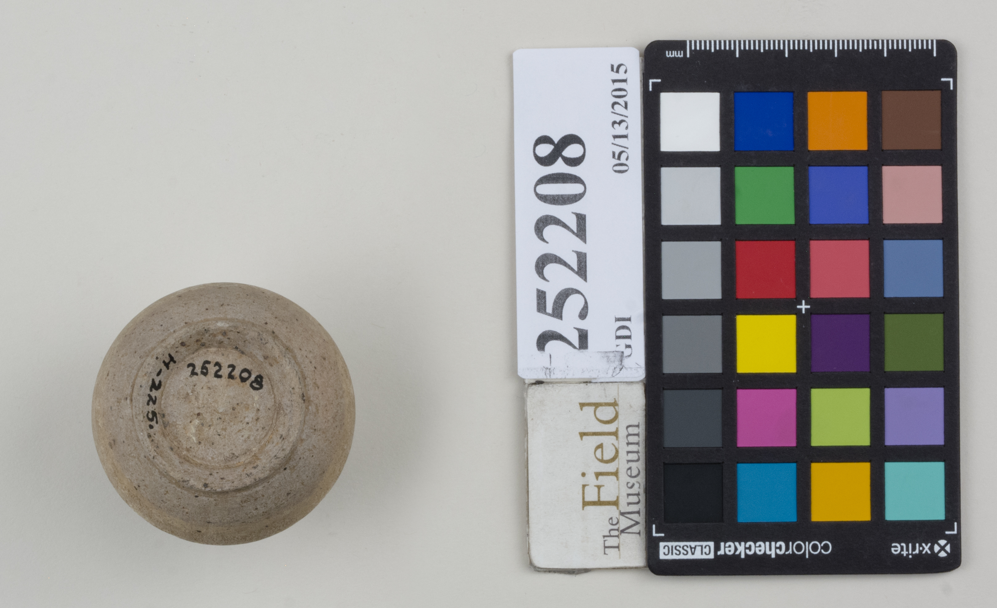 Bottom (c) Field Museum of Natural History - CC BY-NC 4.0