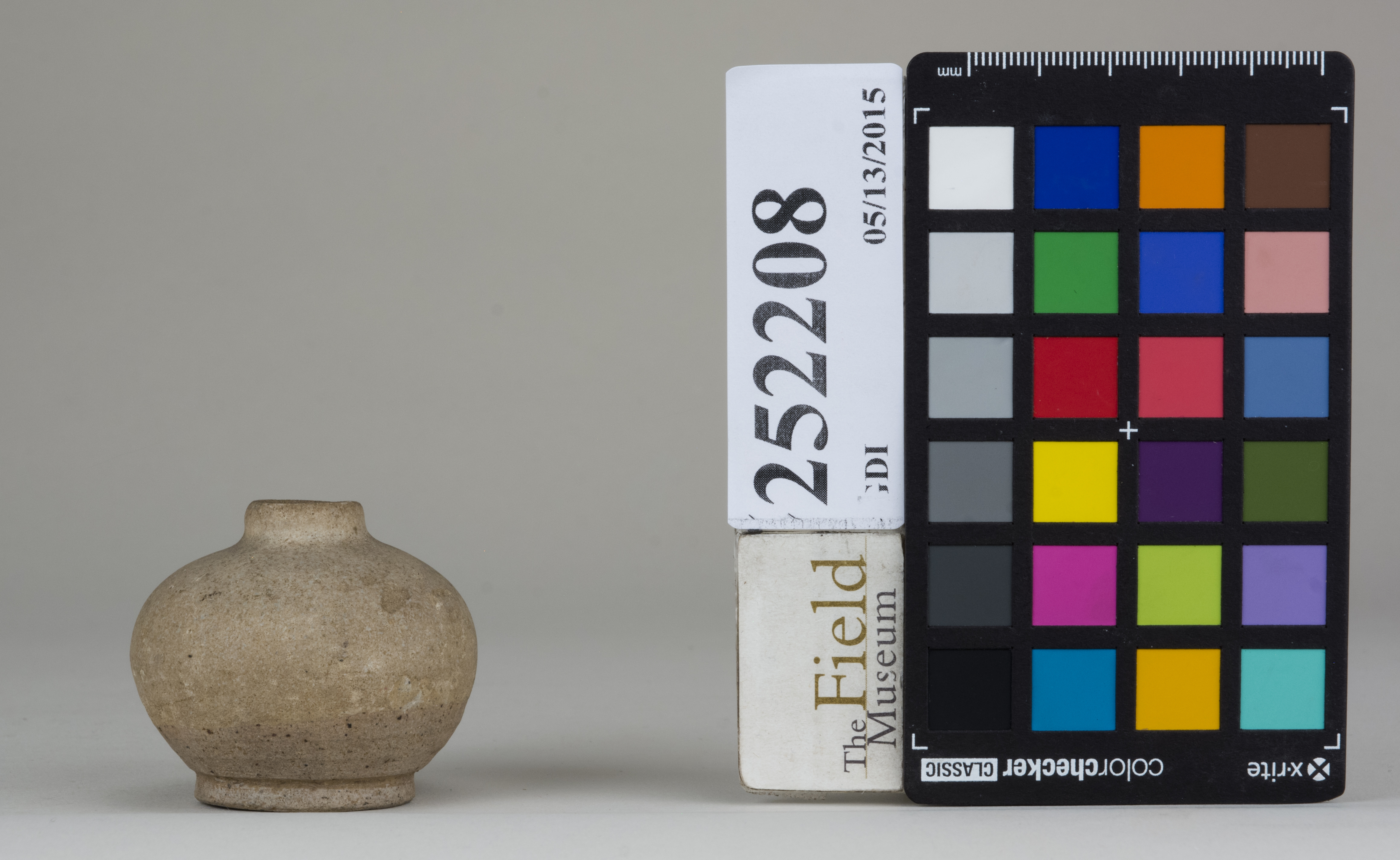 Front (c) Field Museum of Natural History - CC BY-NC 4.0