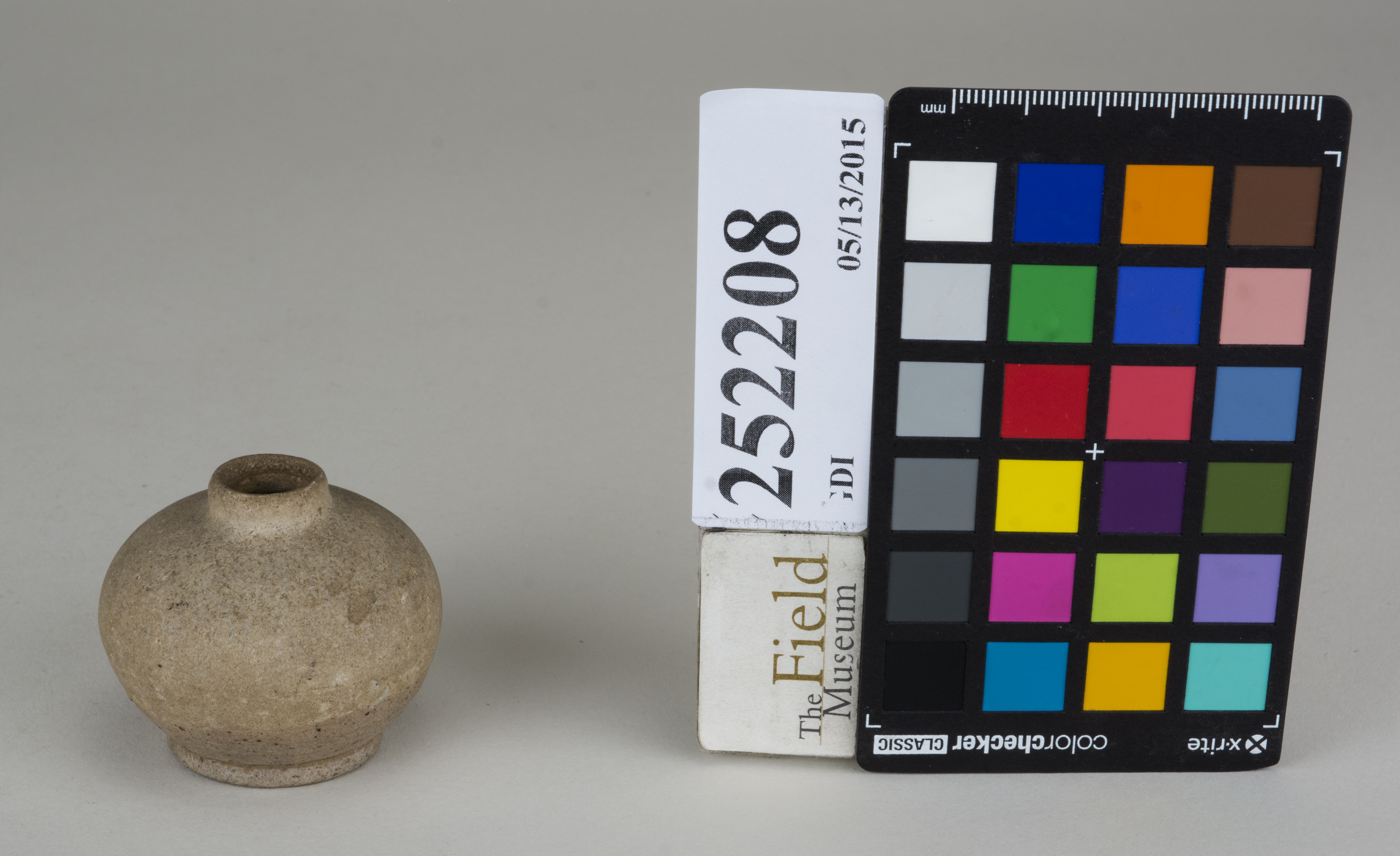 FrontAngle (c) Field Museum of Natural History - CC BY-NC 4.0