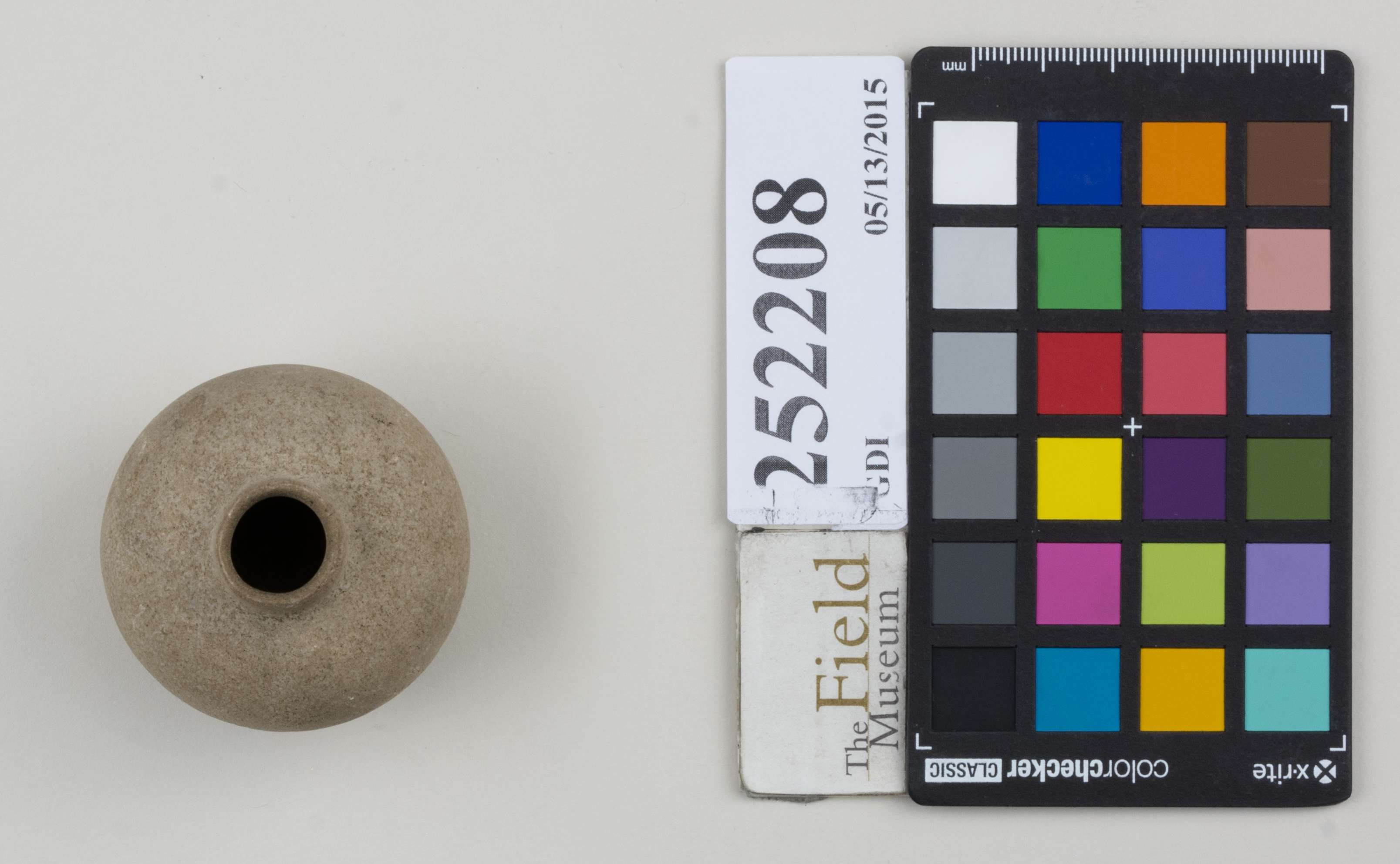 Top (c) Field Museum of Natural History - CC BY-NC 4.0