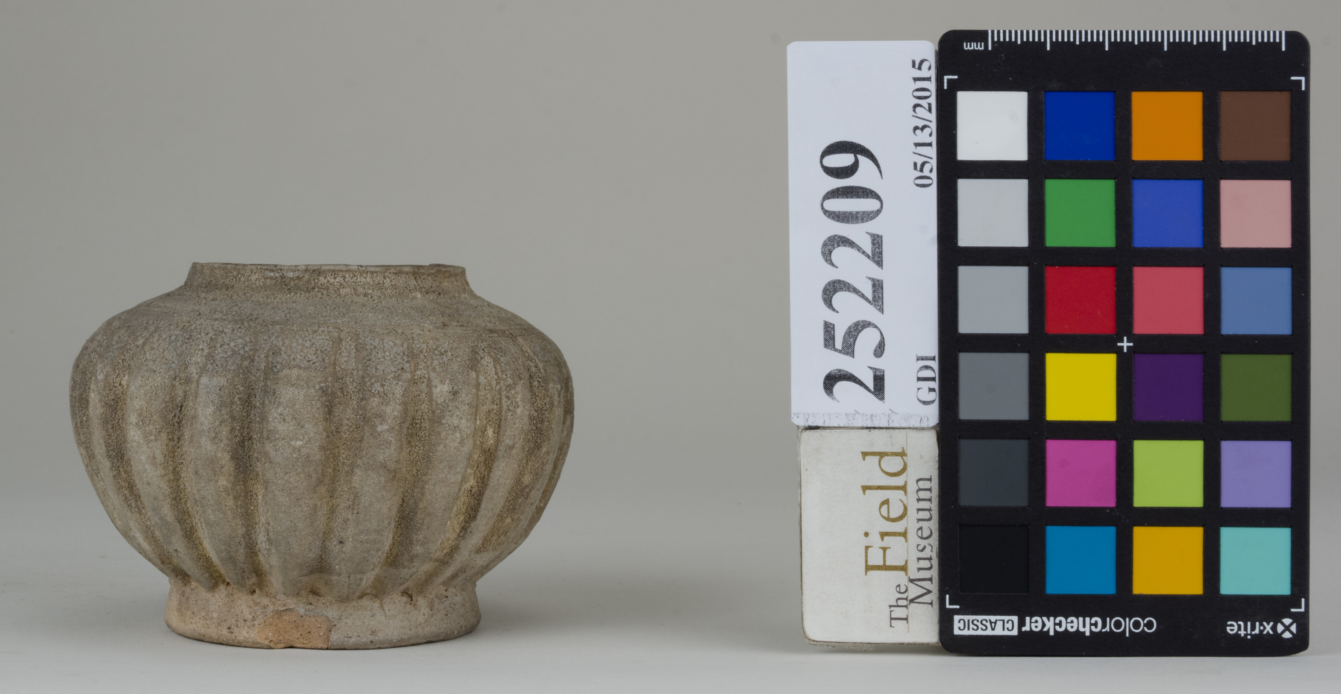 reference image, back (c) Field Museum of Natural History - CC BY-NC 4.0