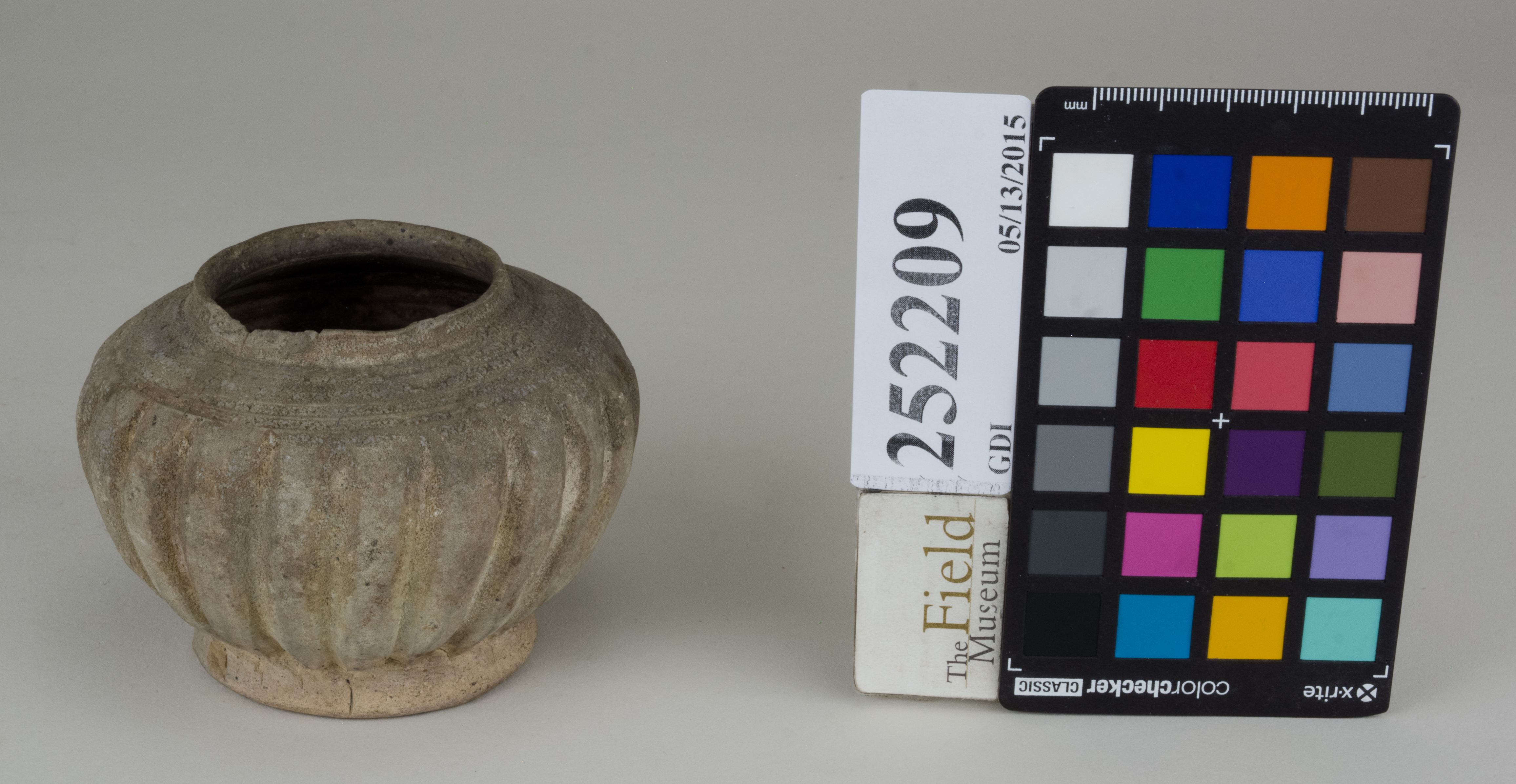 FrontAngle (c) Field Museum of Natural History - CC BY-NC 4.0