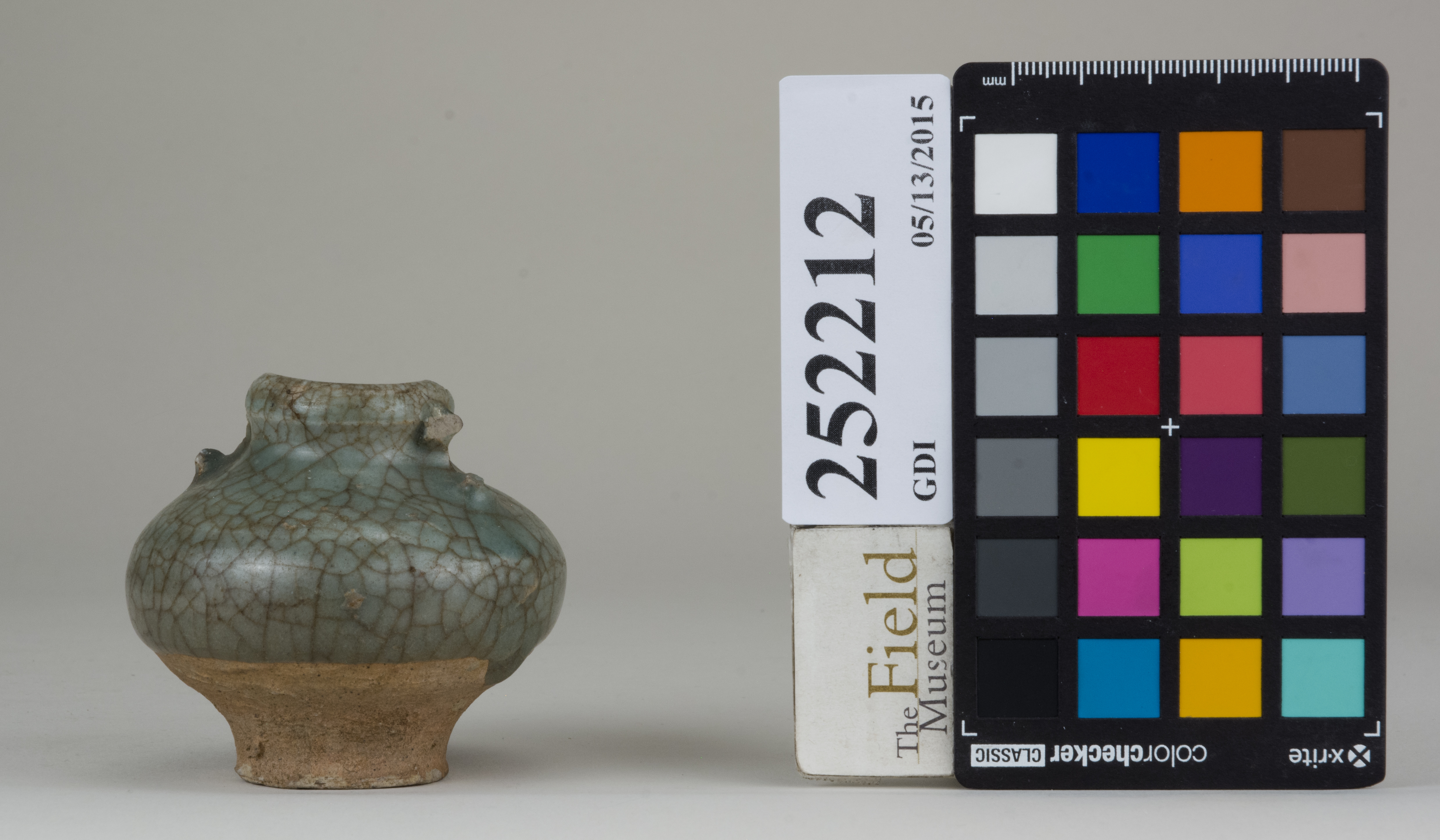 reference image, back (c) Field Museum of Natural History - CC BY-NC 4.0