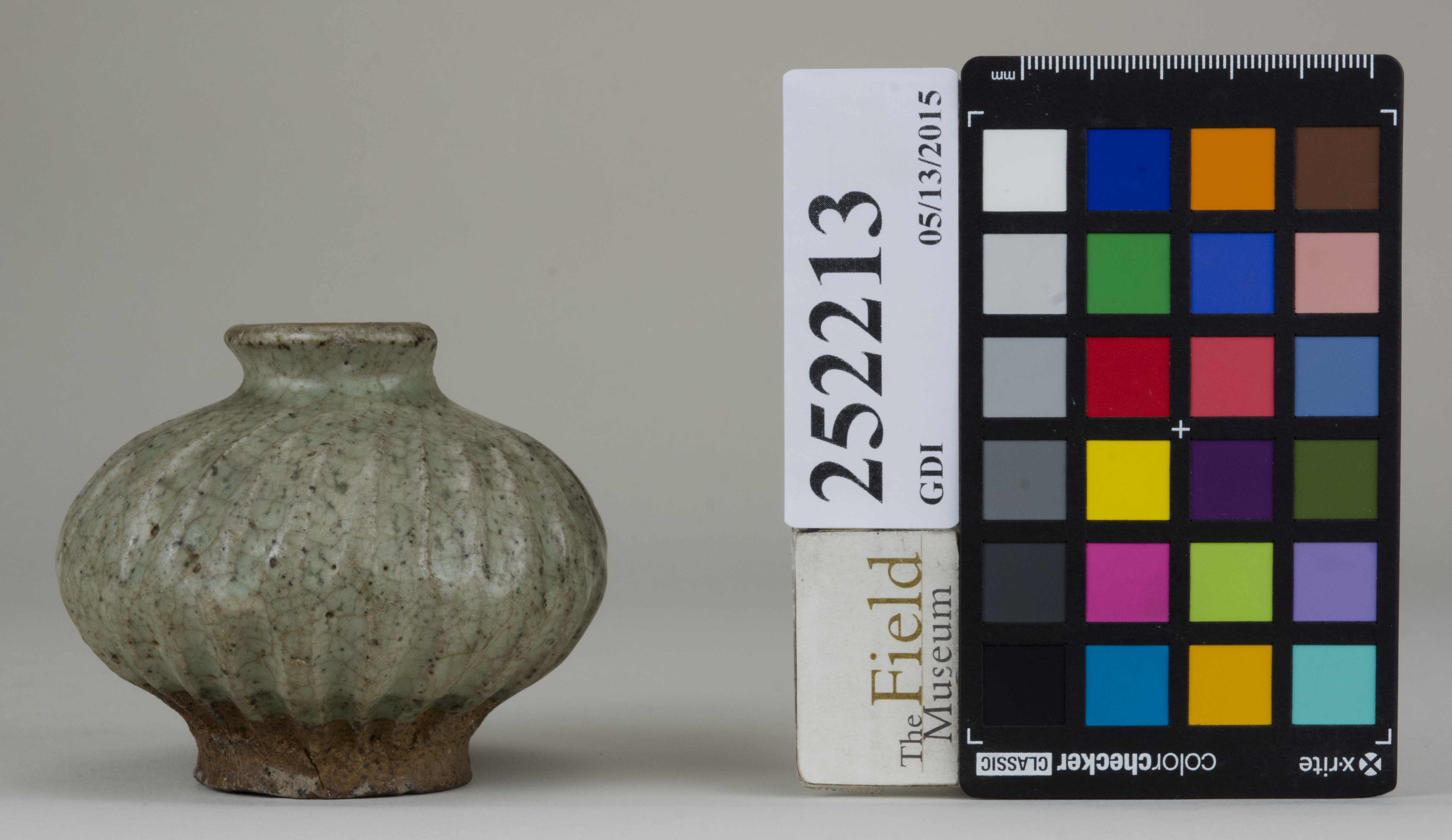 reference image, back (c) Field Museum of Natural History - CC BY-NC 4.0