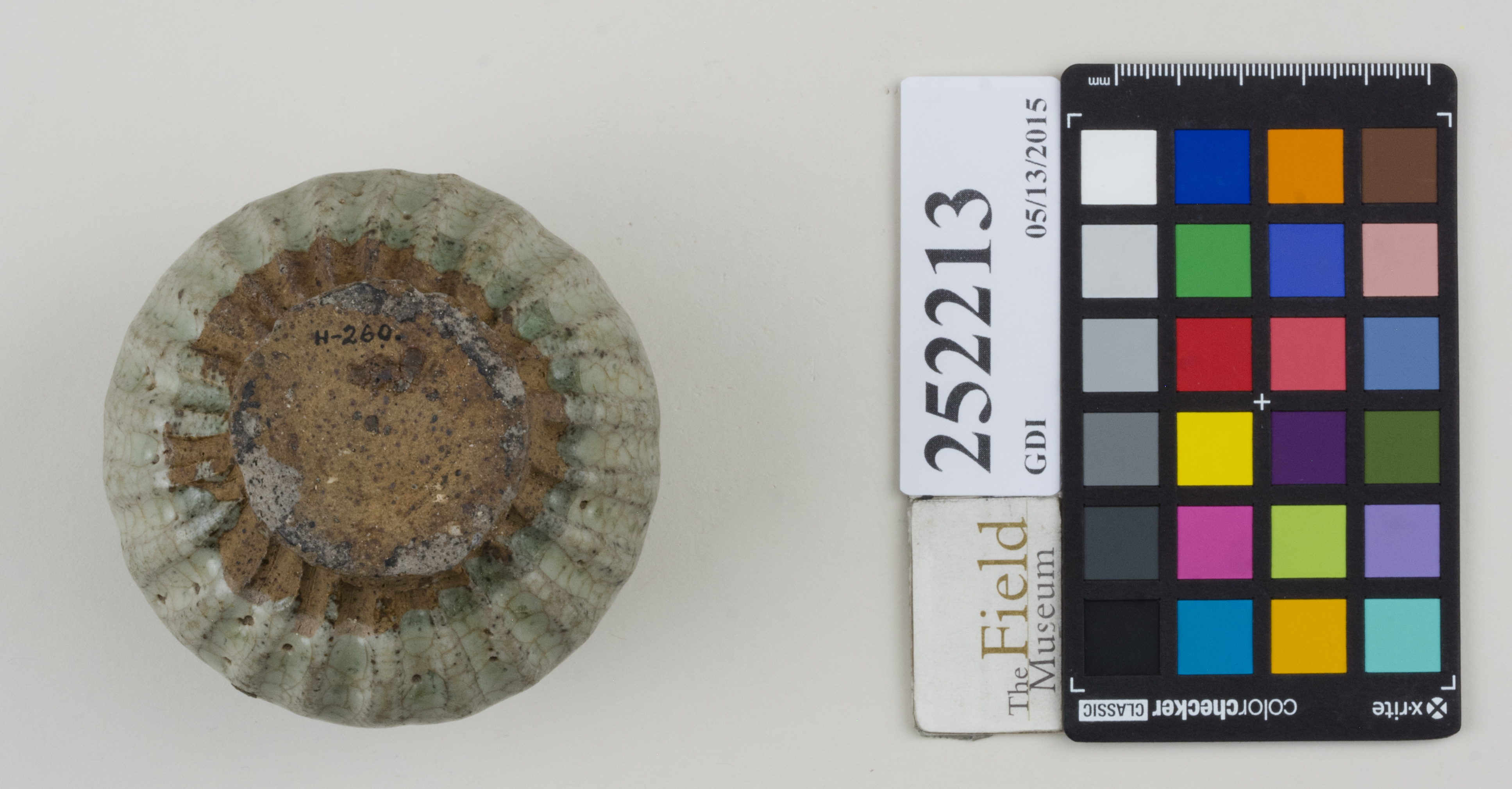 Bottom (c) Field Museum of Natural History - CC BY-NC 4.0