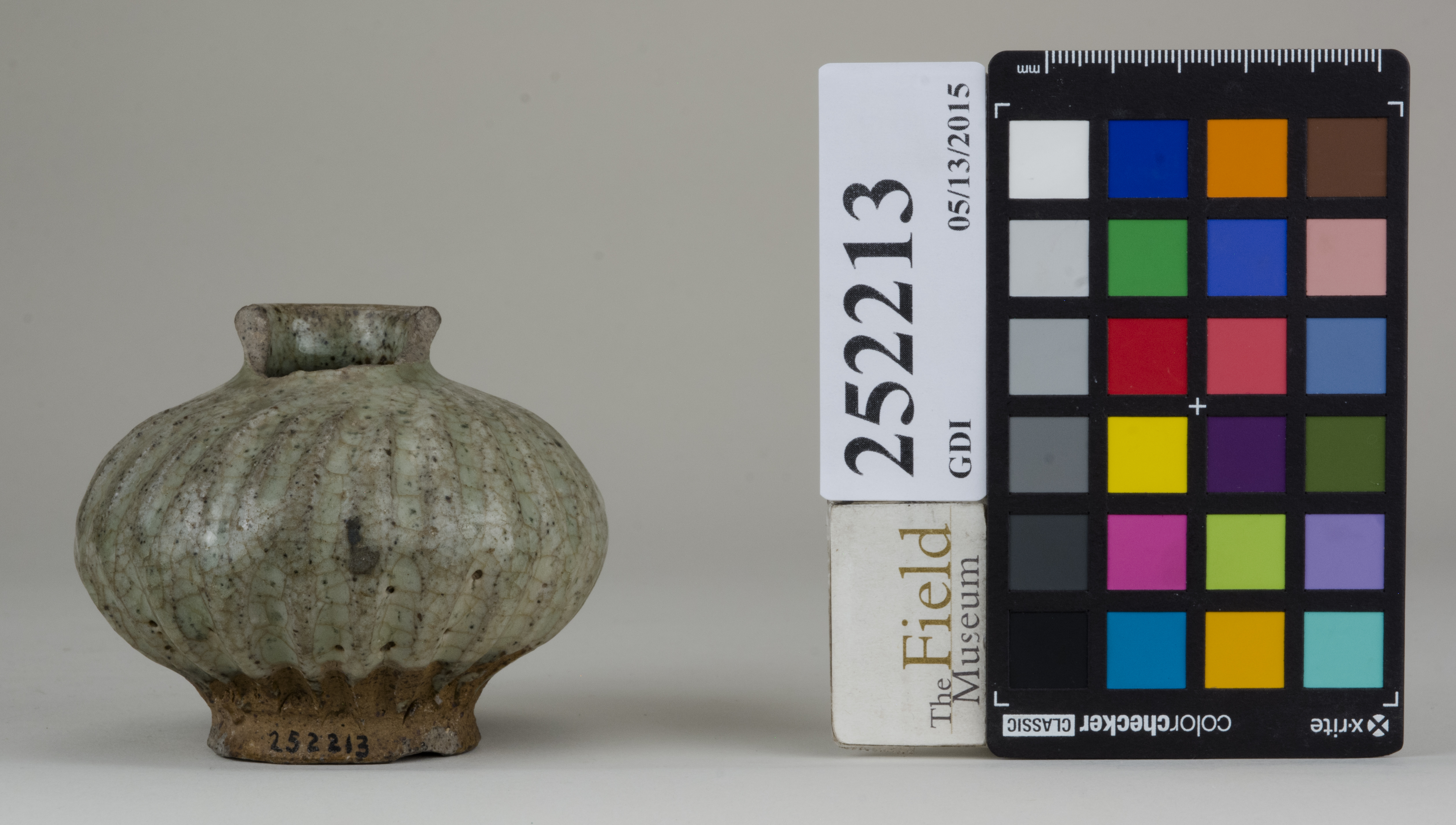 Front (c) Field Museum of Natural History - CC BY-NC 4.0