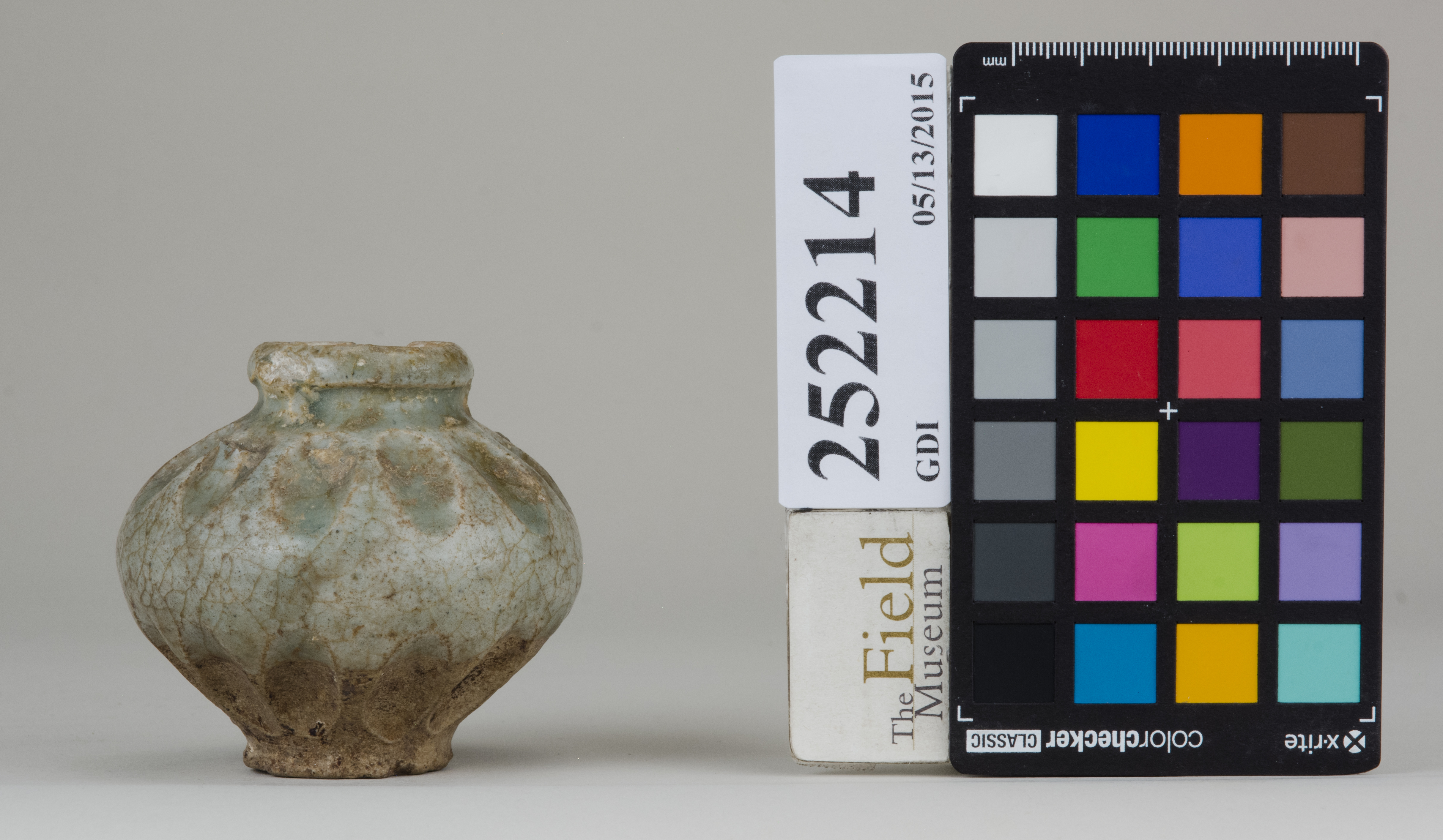 reference image, back (c) Field Museum of Natural History - CC BY-NC 4.0