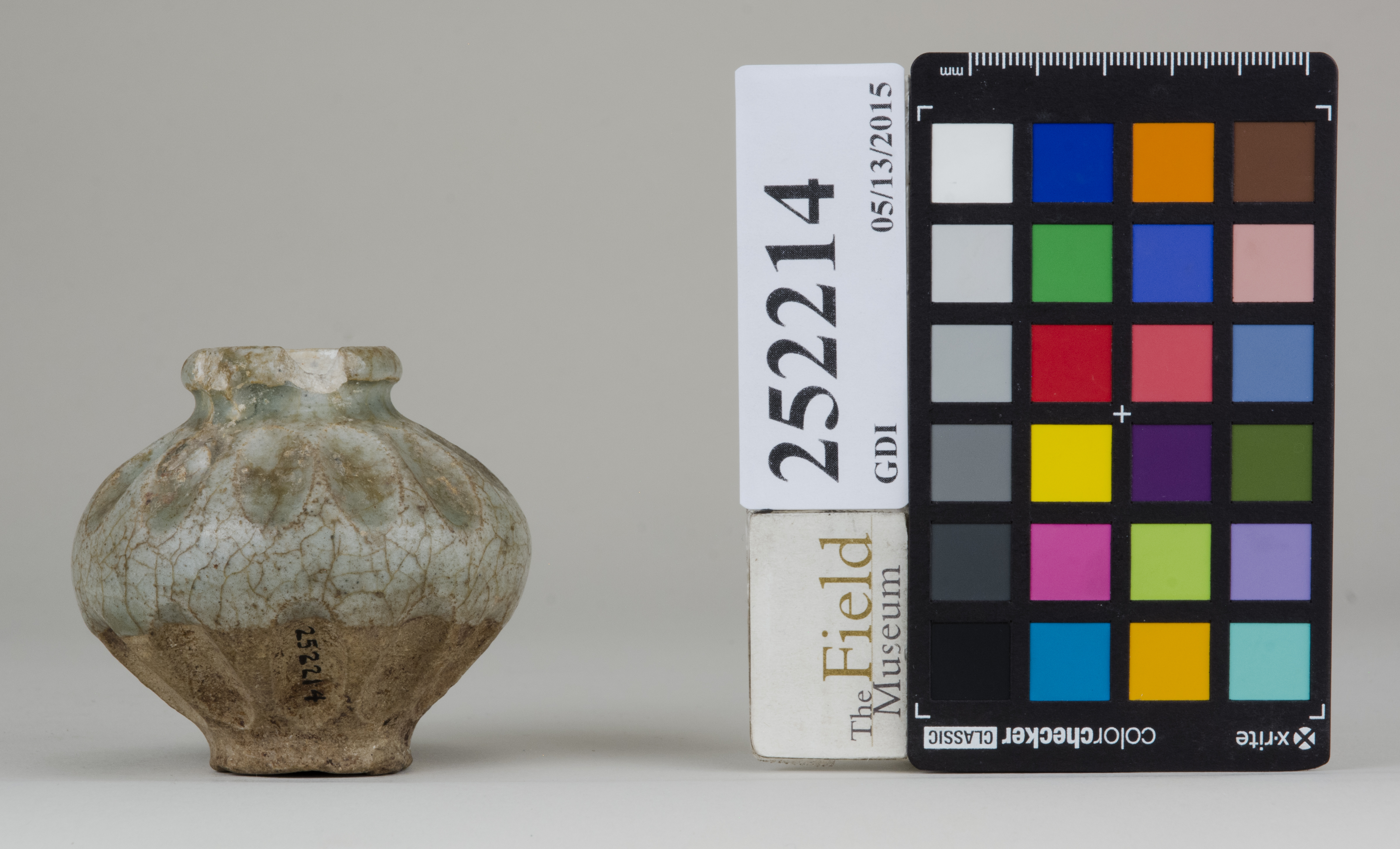 Front (c) Field Museum of Natural History - CC BY-NC 4.0