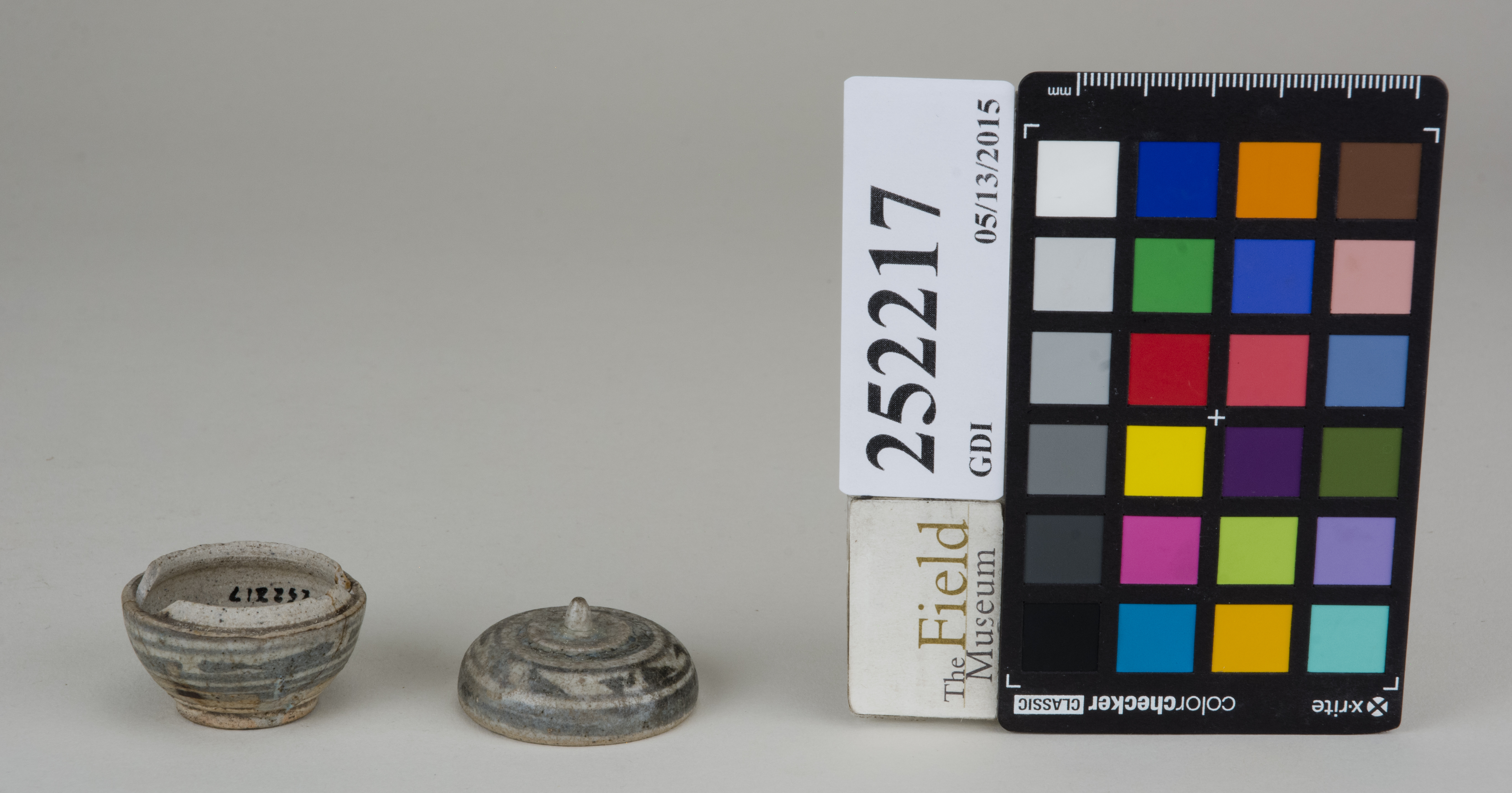 ParentFrontAngle (c) Field Museum of Natural History - CC BY-NC 4.0