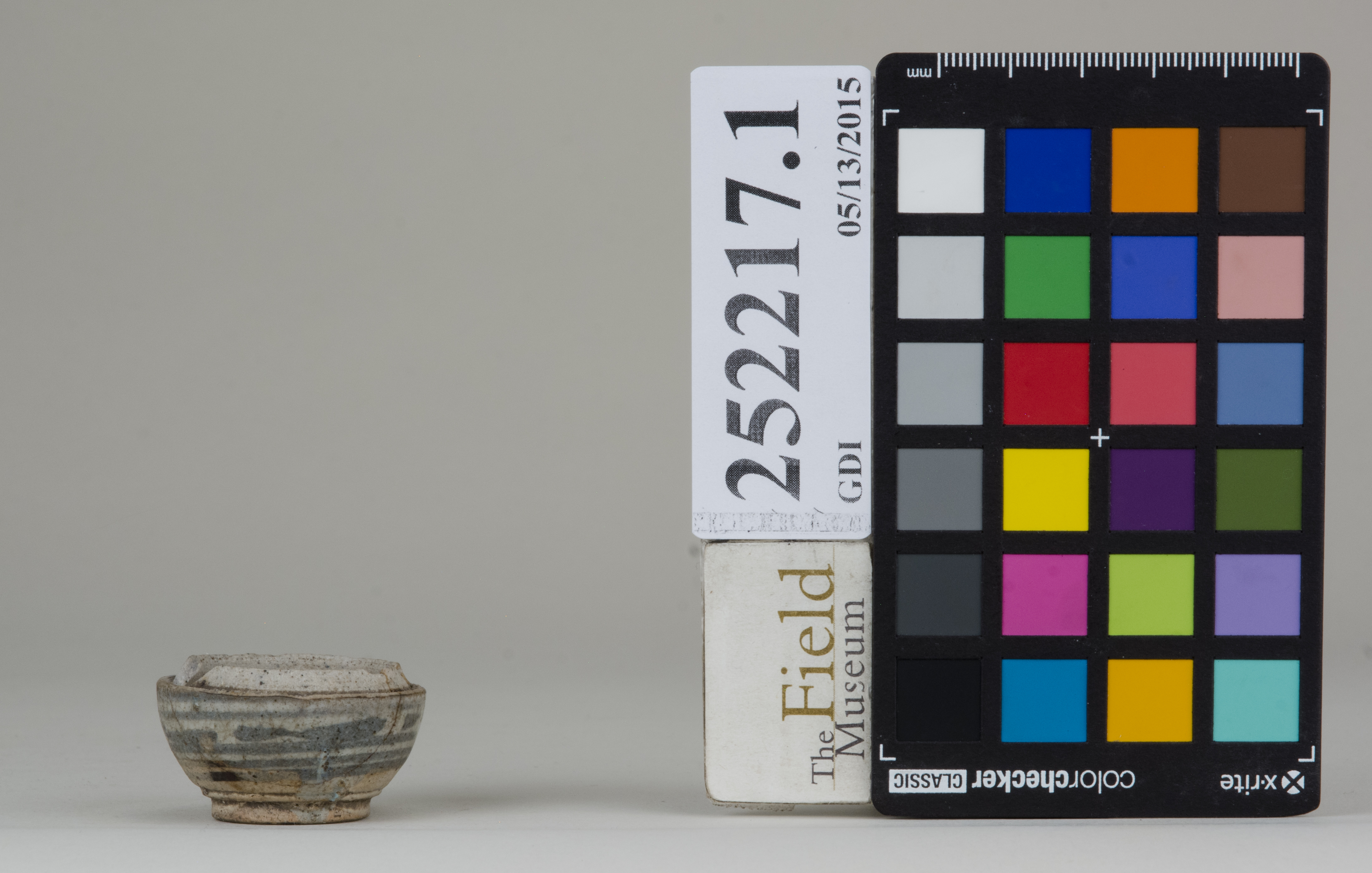 Front (c) Field Museum of Natural History - CC BY-NC 4.0