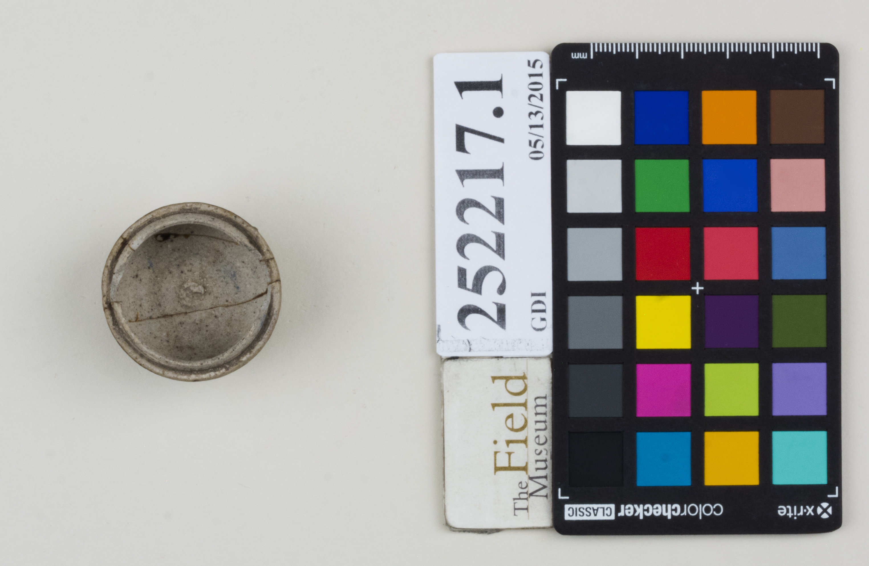 Top (c) Field Museum of Natural History - CC BY-NC 4.0