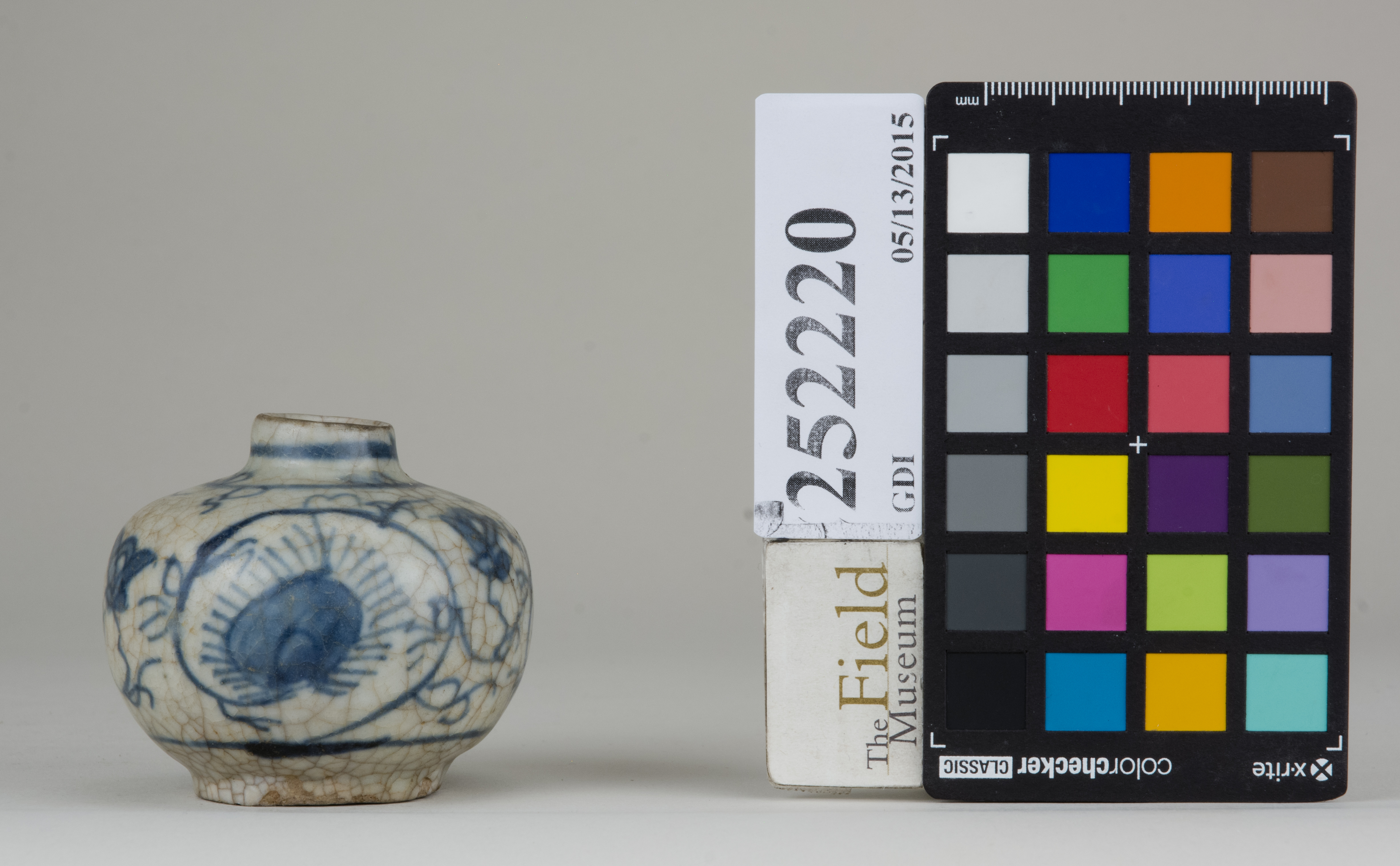 Front (c) Field Museum of Natural History - CC BY-NC 4.0