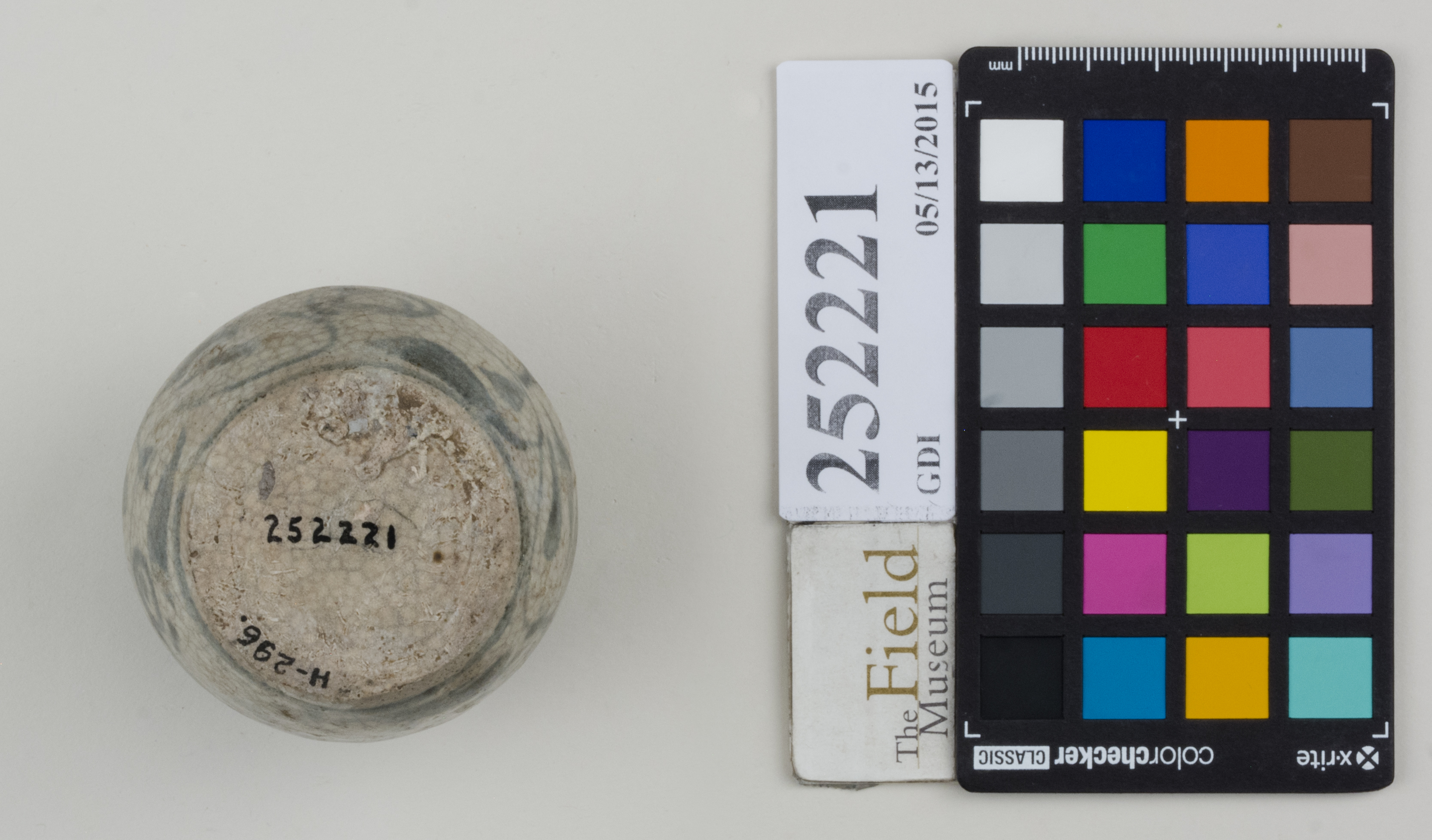 Bottom (c) Field Museum of Natural History - CC BY-NC 4.0