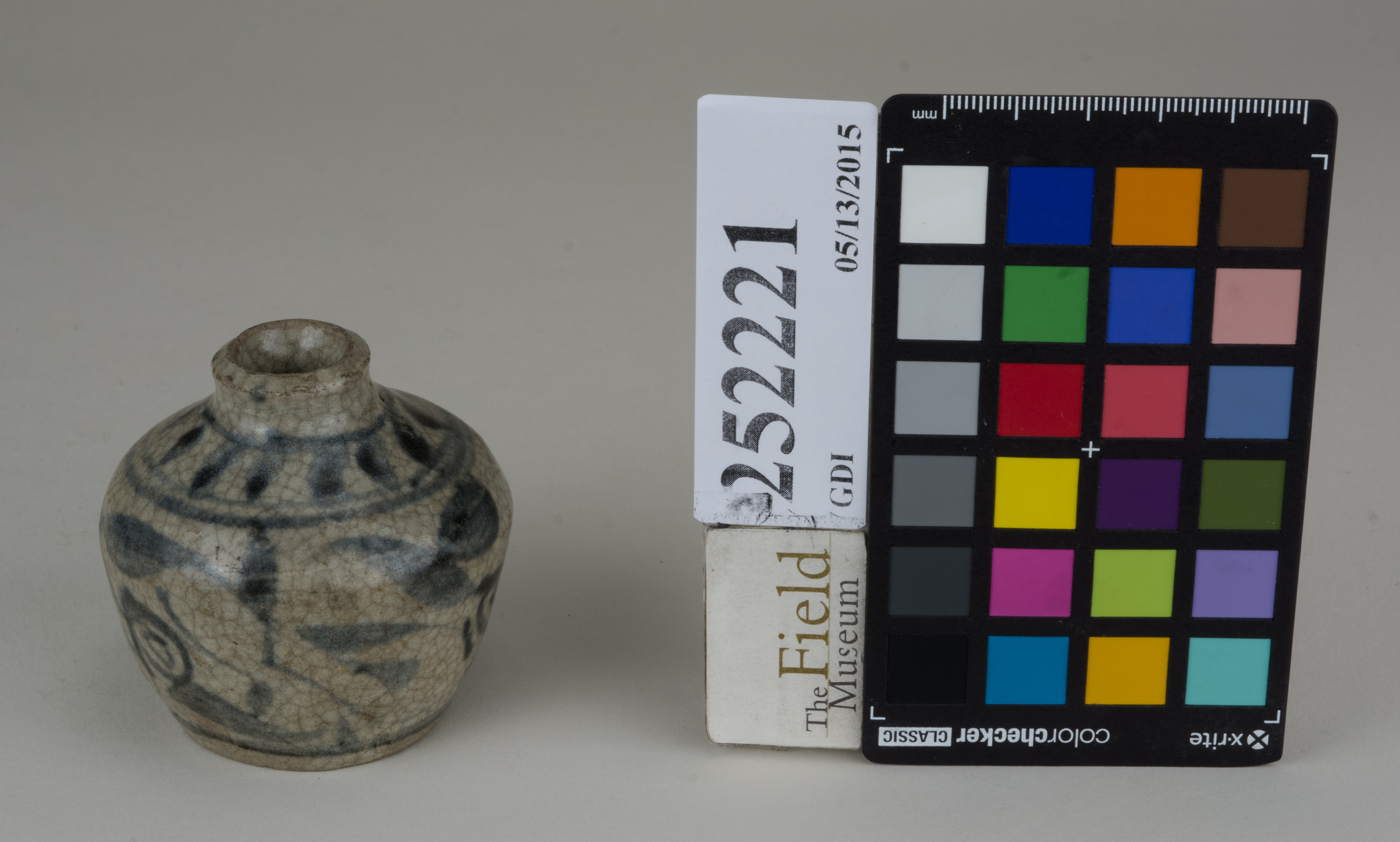 FrontAngle (c) Field Museum of Natural History - CC BY-NC 4.0