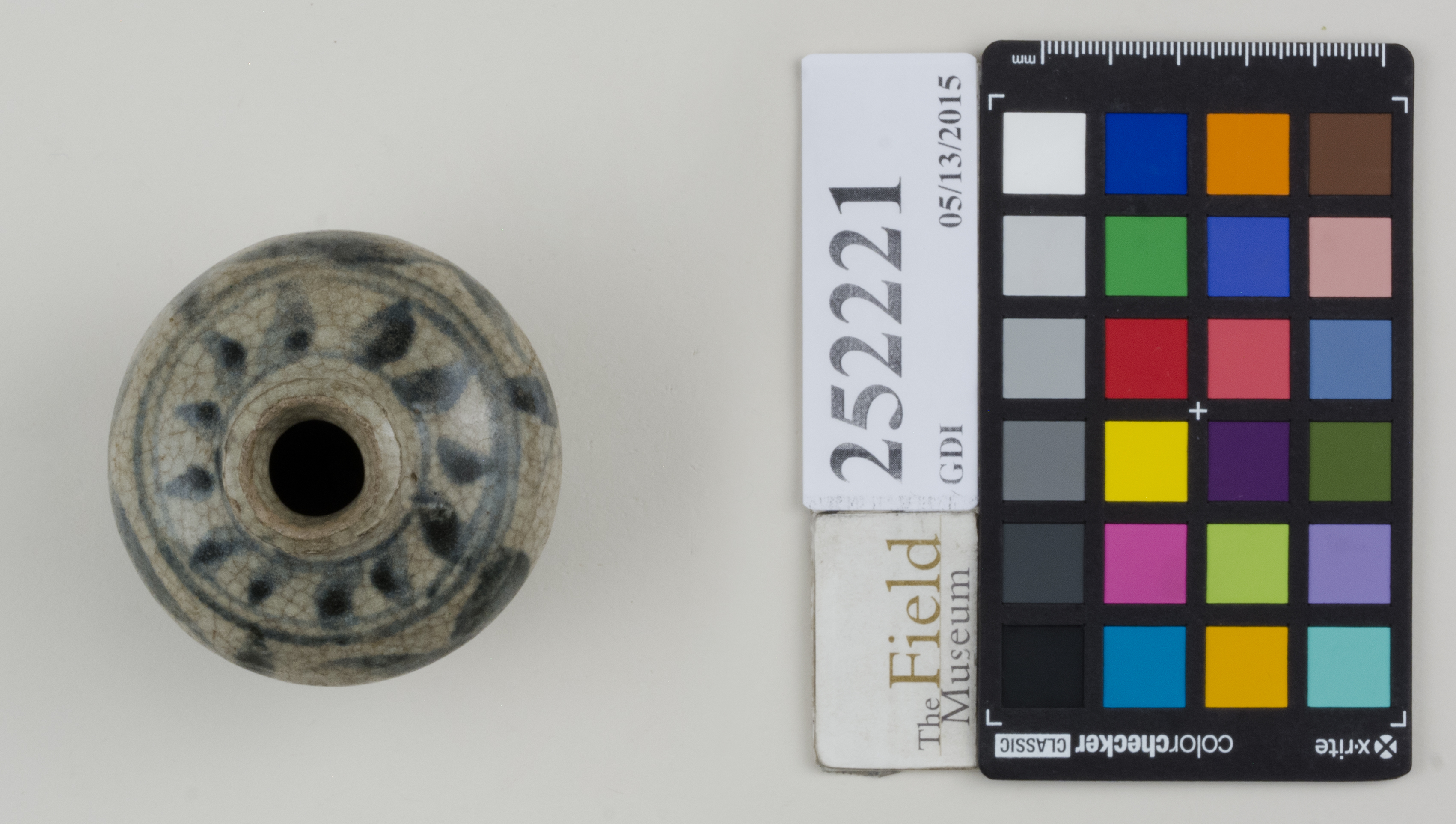 Top (c) Field Museum of Natural History - CC BY-NC 4.0