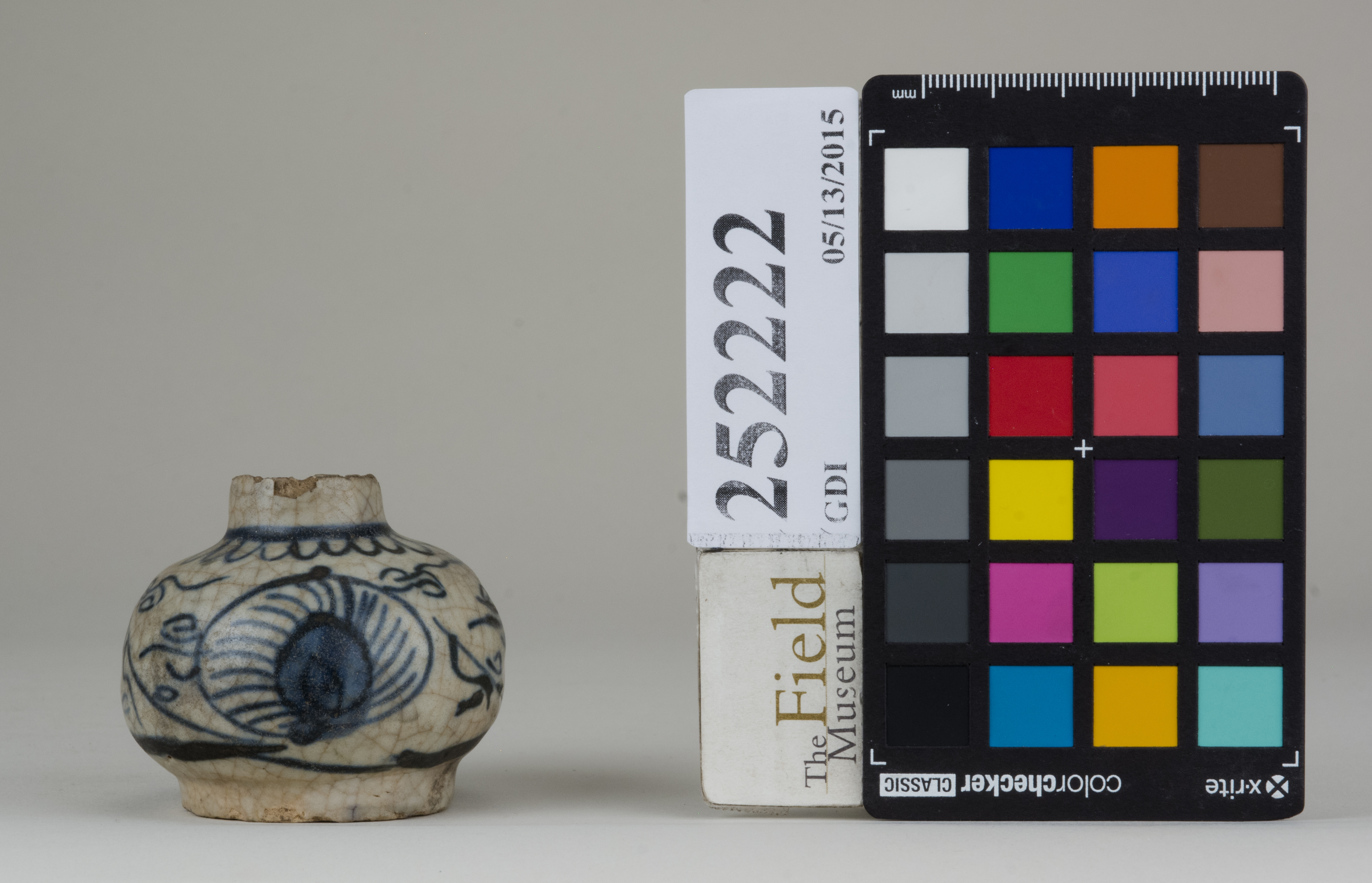 reference image, back (c) Field Museum of Natural History - CC BY-NC 4.0