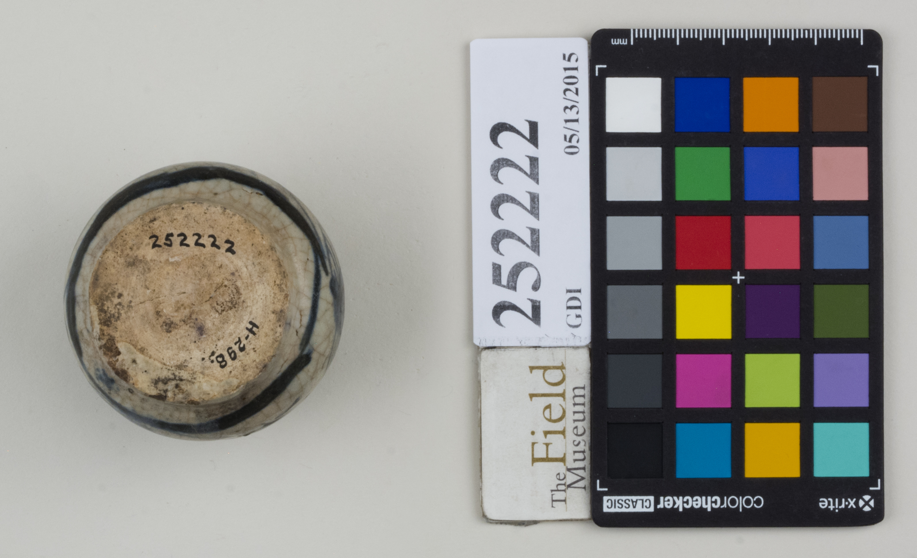 Bottom (c) Field Museum of Natural History - CC BY-NC 4.0