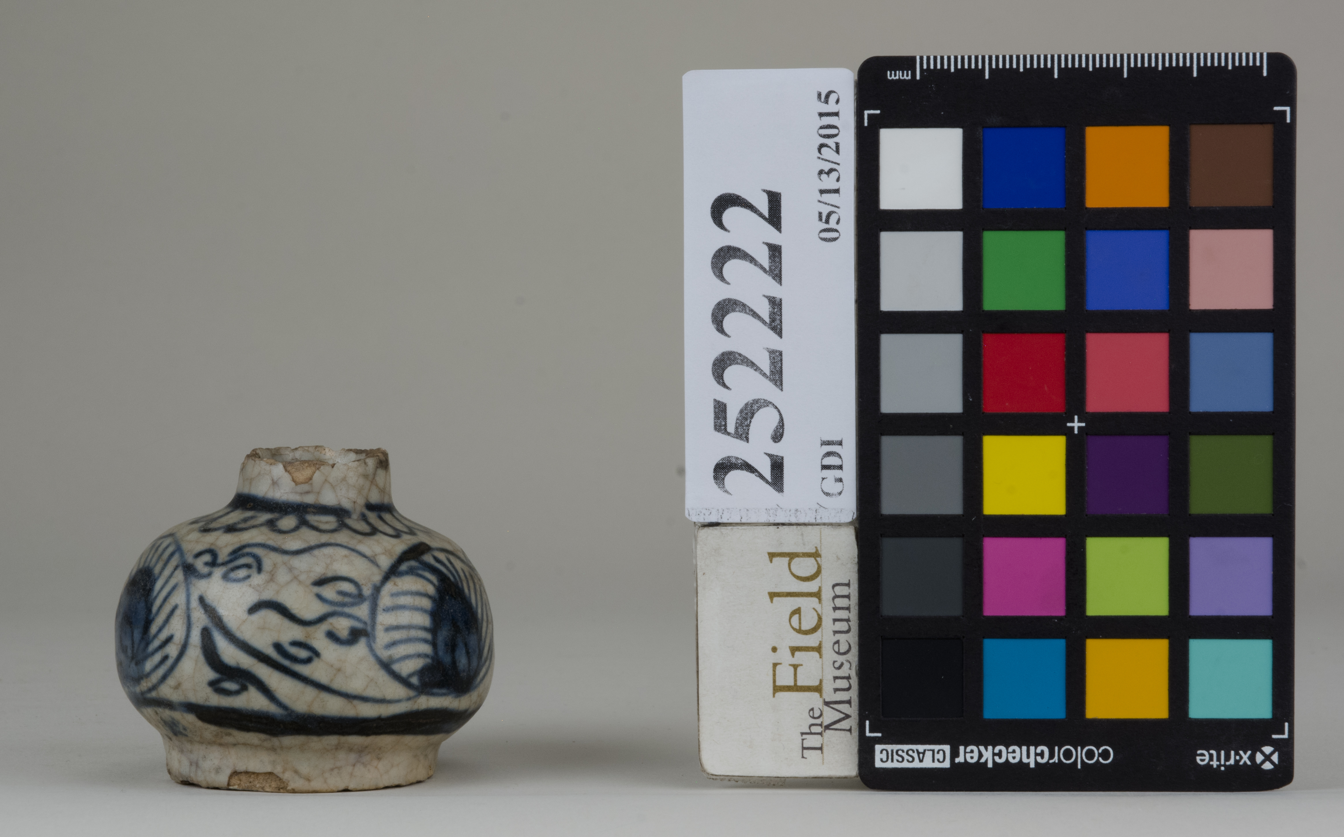 Right (c) Field Museum of Natural History - CC BY-NC 4.0