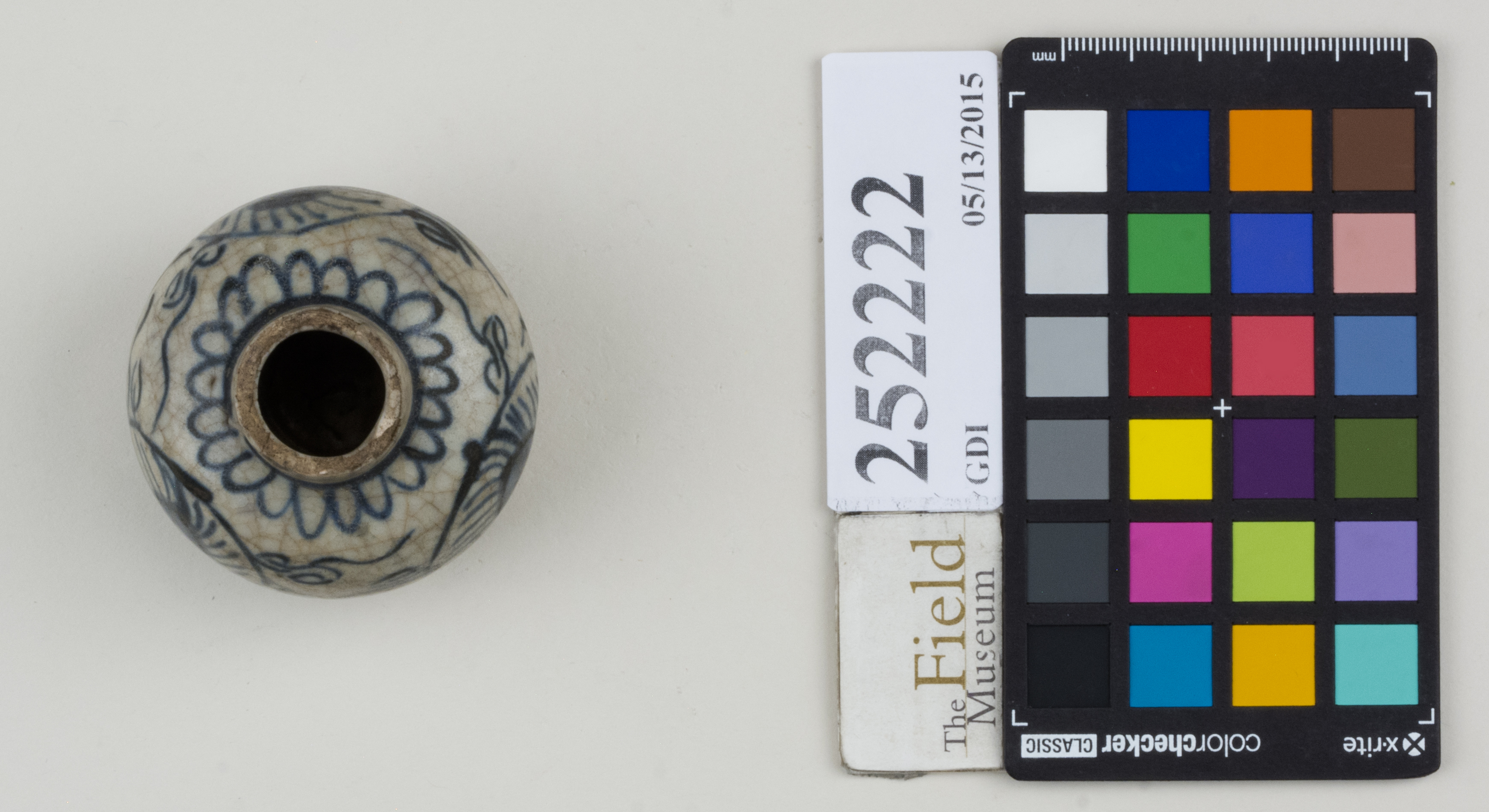 Top (c) Field Museum of Natural History - CC BY-NC 4.0