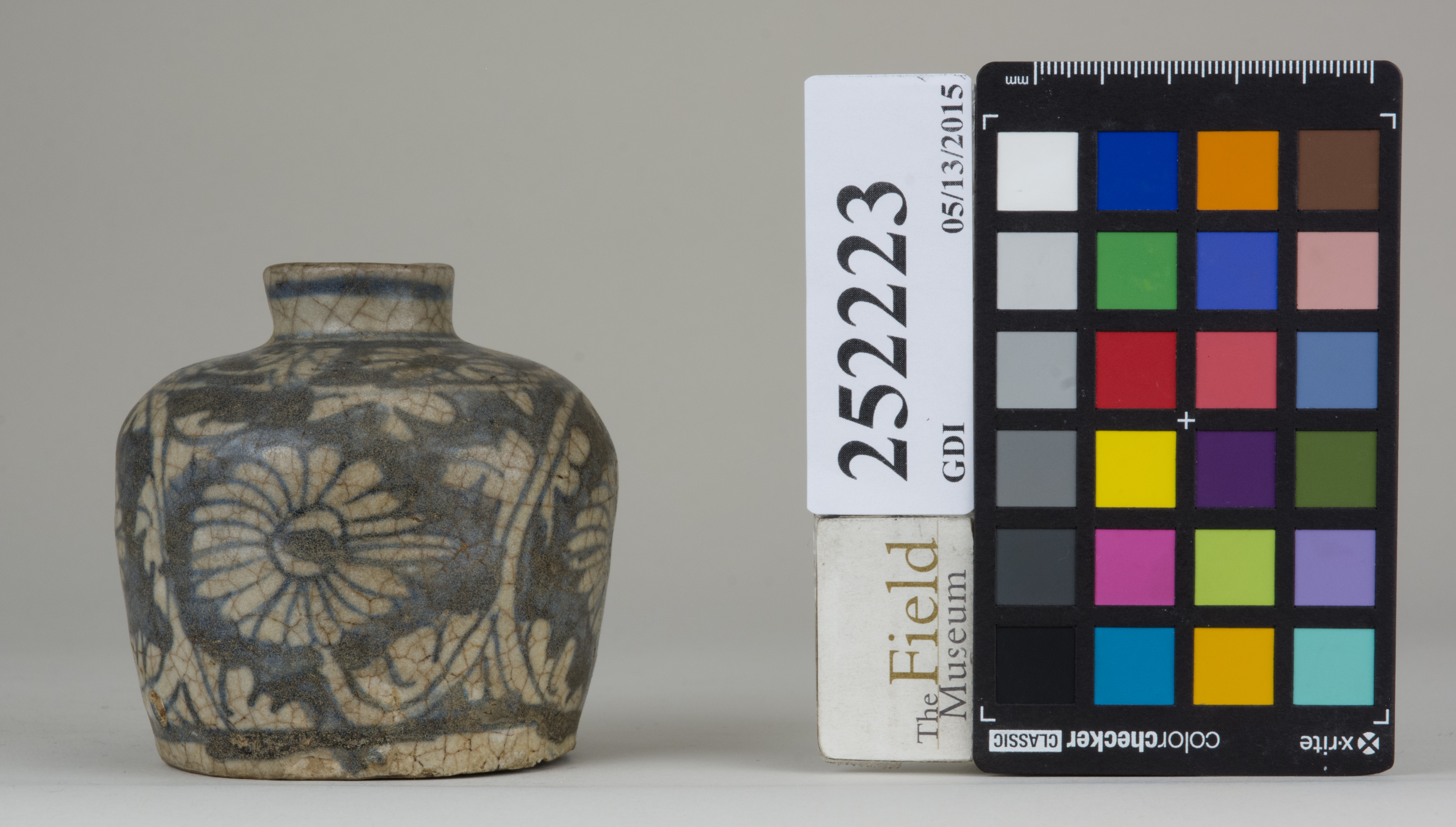 reference image, back (c) Field Museum of Natural History - CC BY-NC 4.0