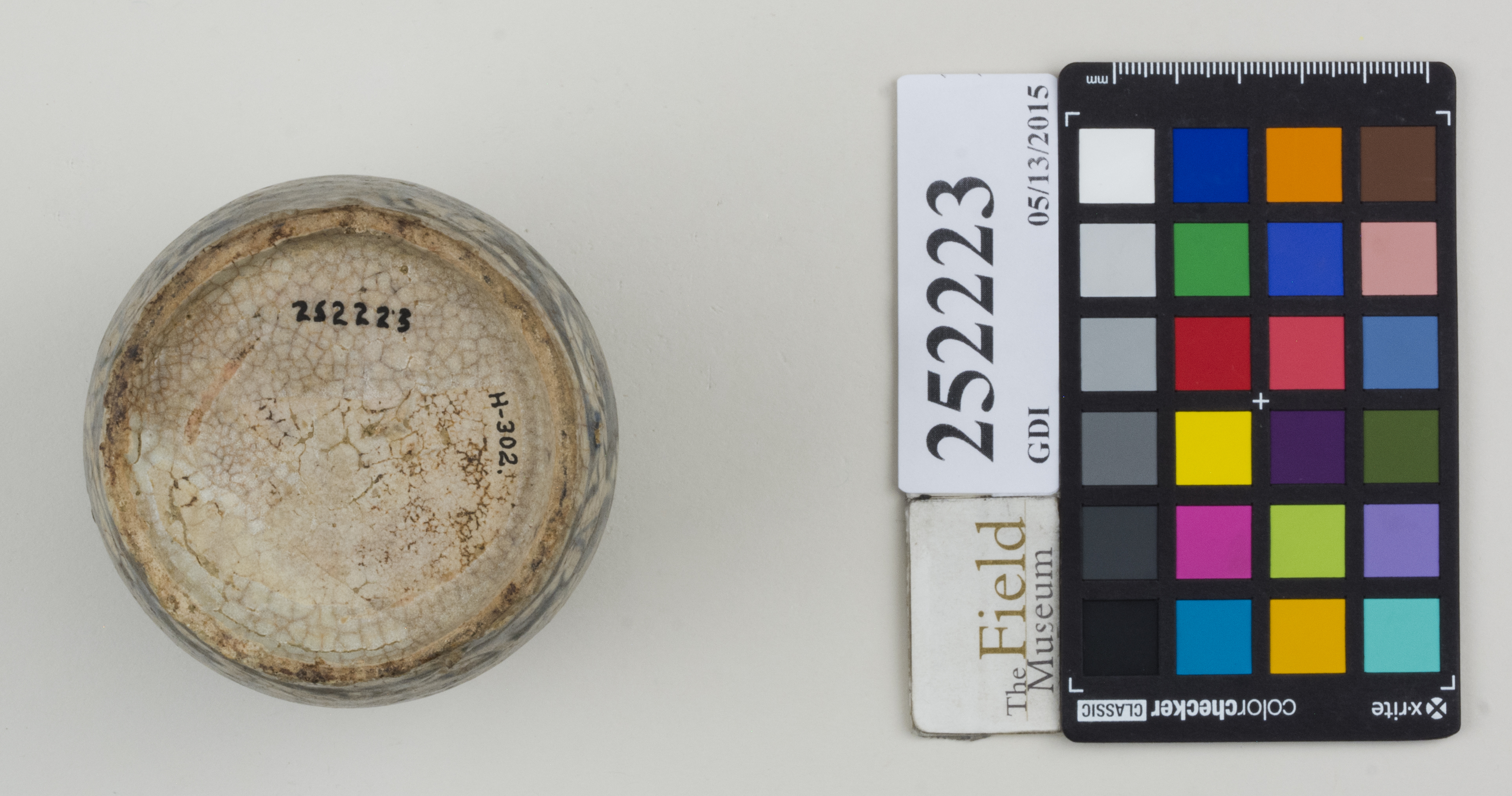 Bottom (c) Field Museum of Natural History - CC BY-NC 4.0