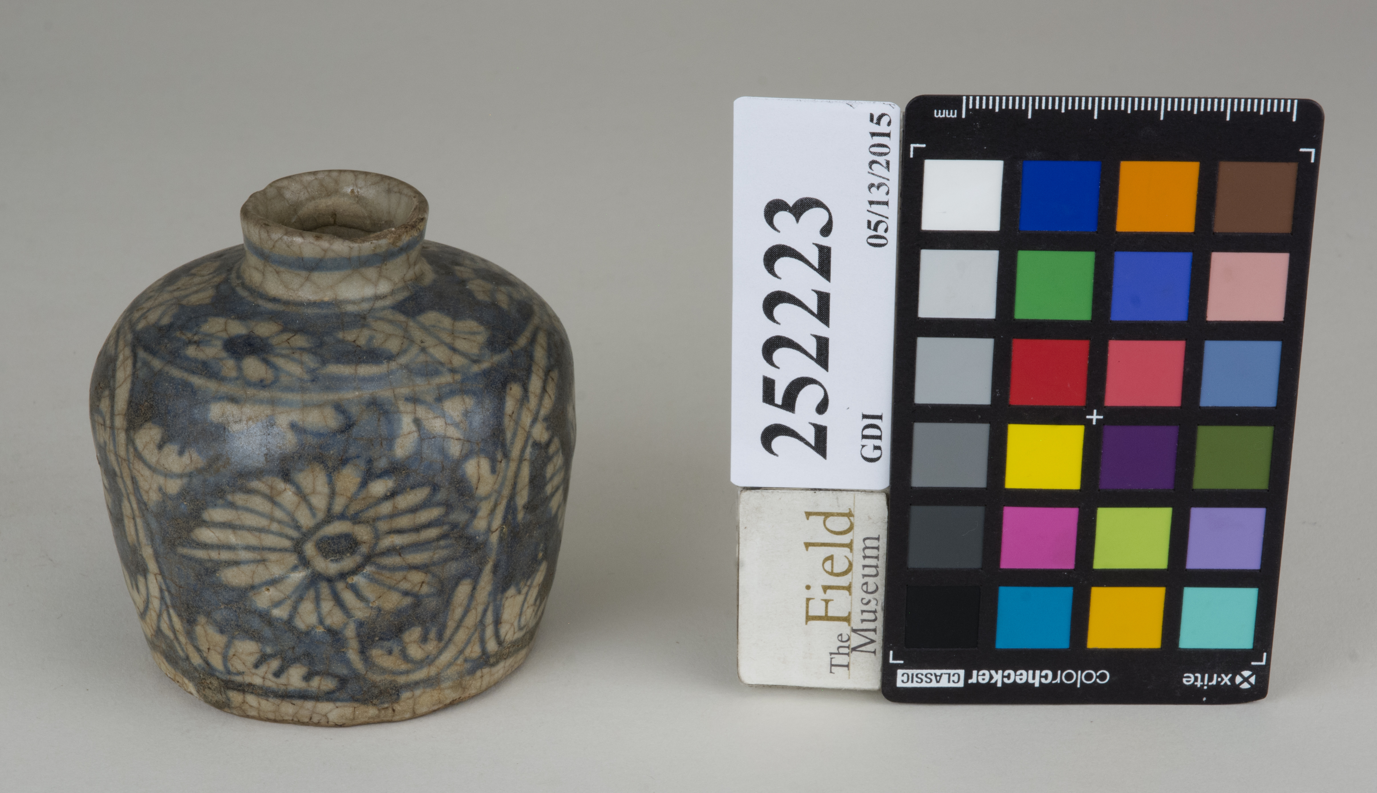 FrontAngle (c) Field Museum of Natural History - CC BY-NC 4.0