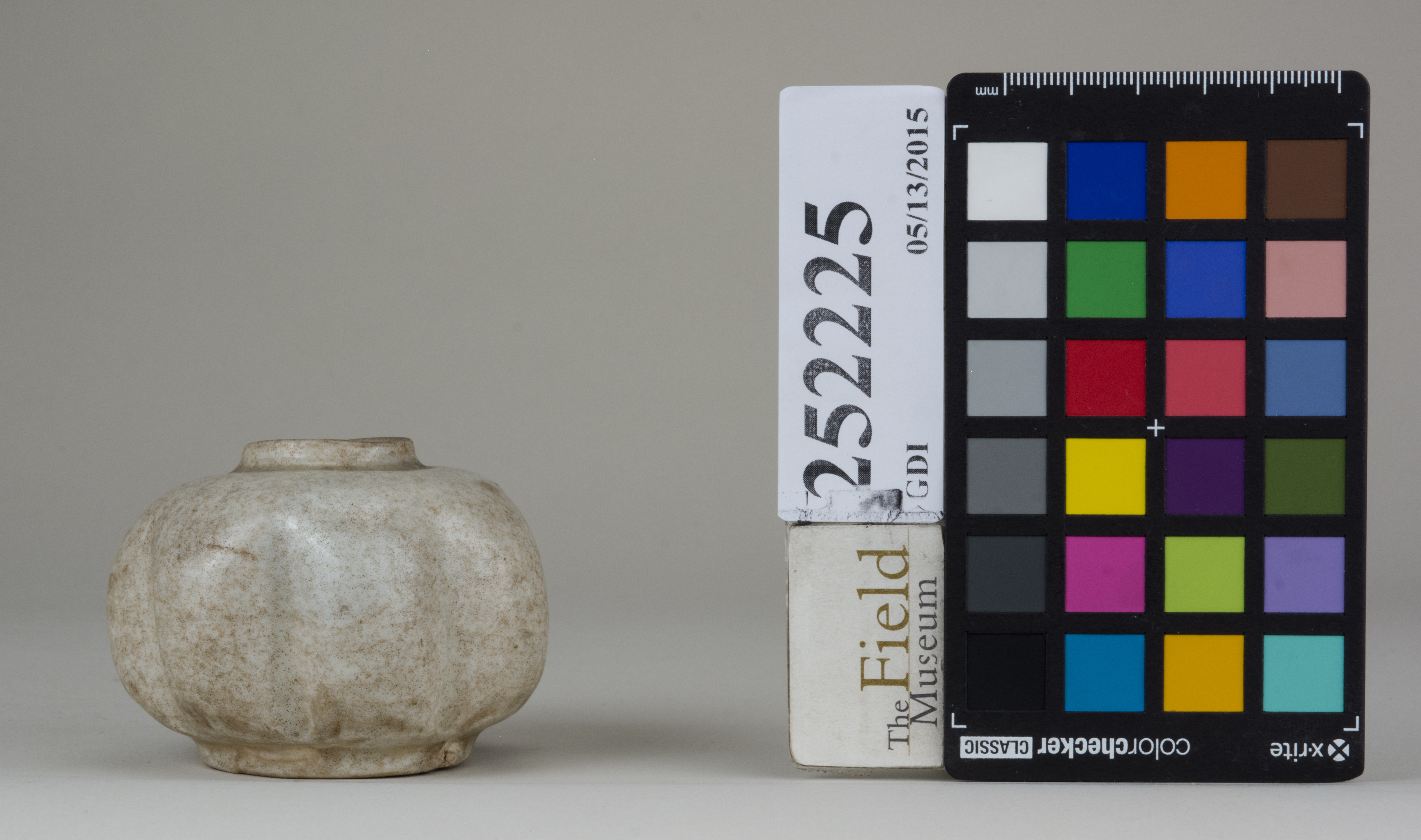 reference image, back (c) Field Museum of Natural History - CC BY-NC 4.0