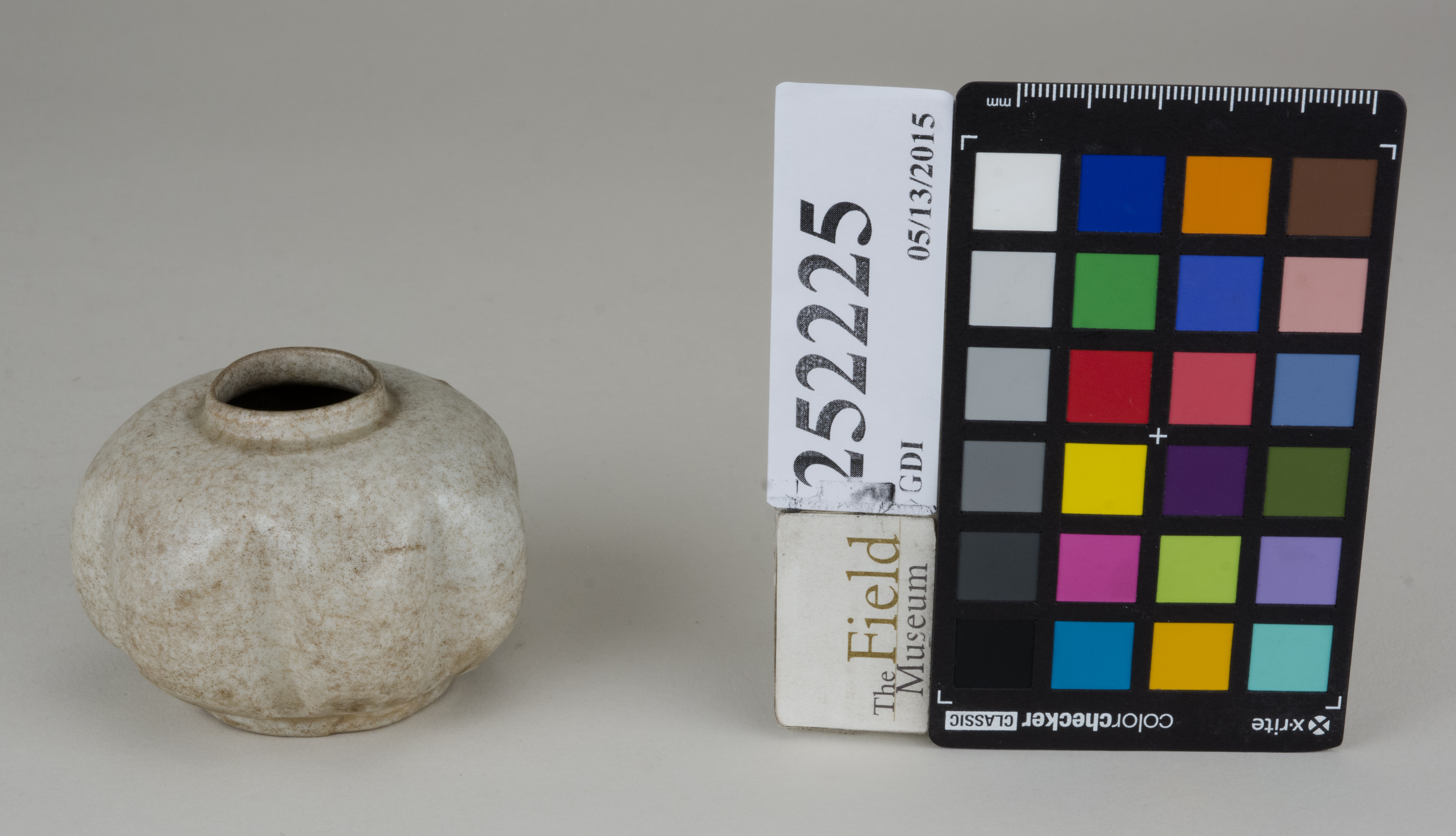 FrontAngle (c) Field Museum of Natural History - CC BY-NC 4.0