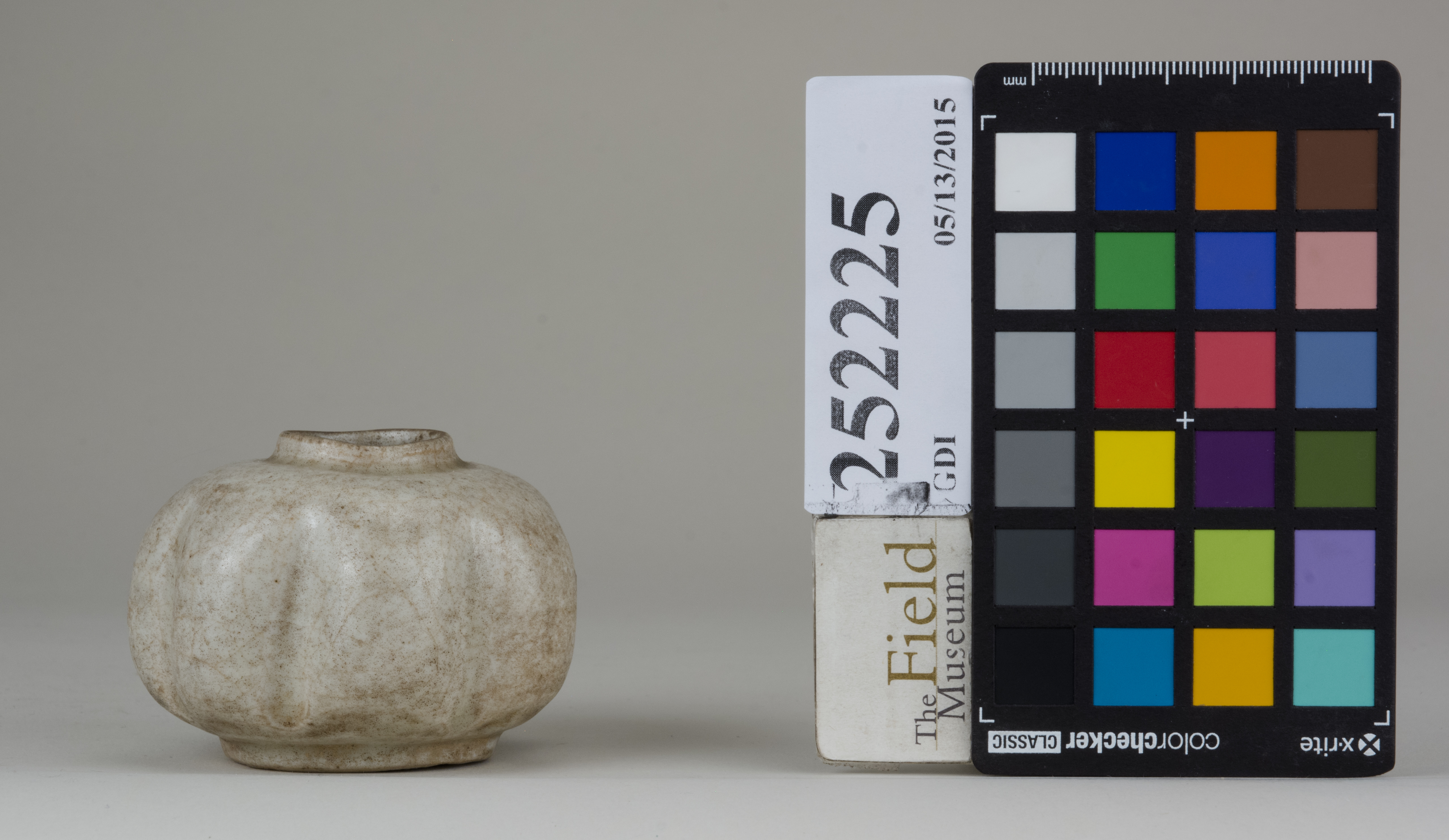 Right (c) Field Museum of Natural History - CC BY-NC 4.0