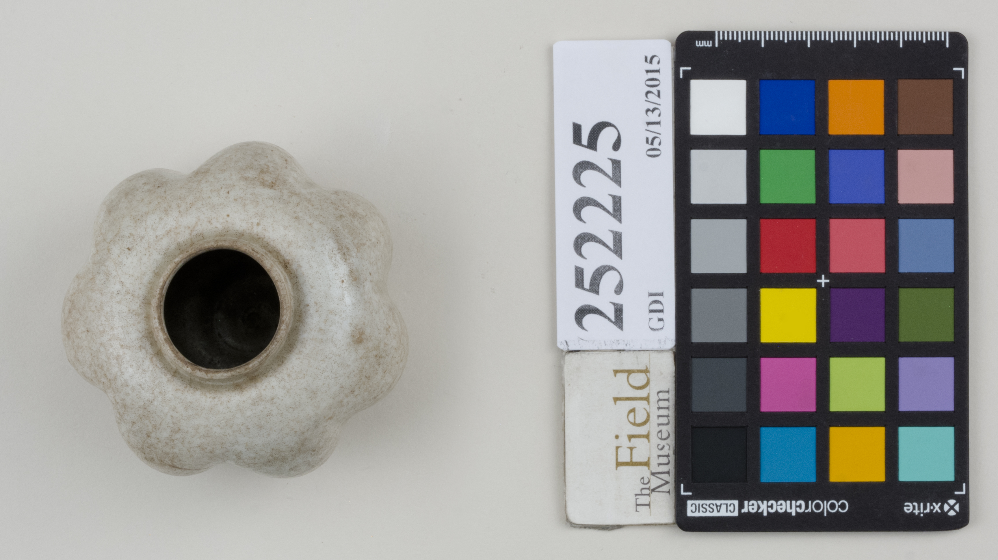 Top (c) Field Museum of Natural History - CC BY-NC 4.0