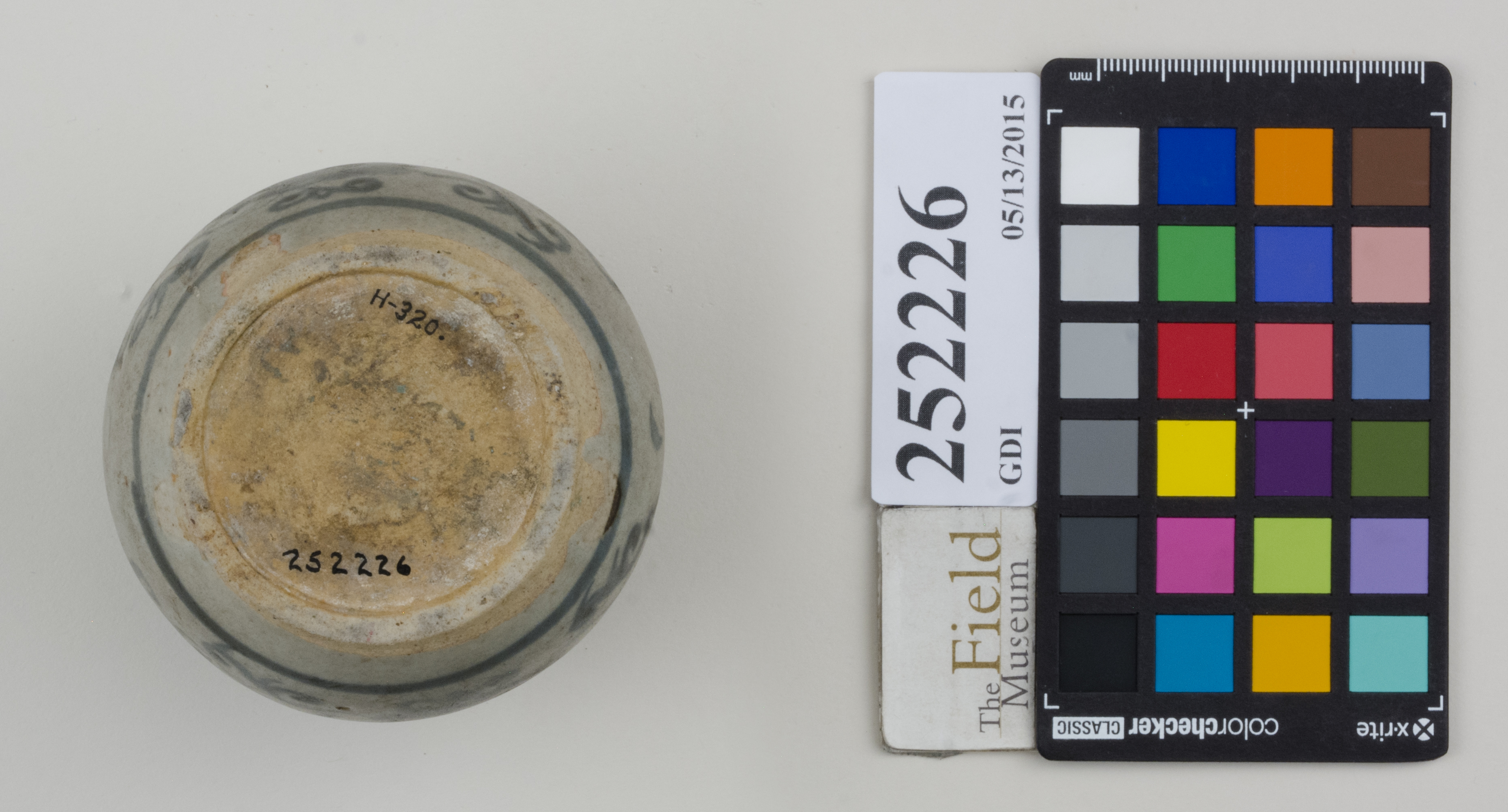 Bottom (c) Field Museum of Natural History - CC BY-NC 4.0