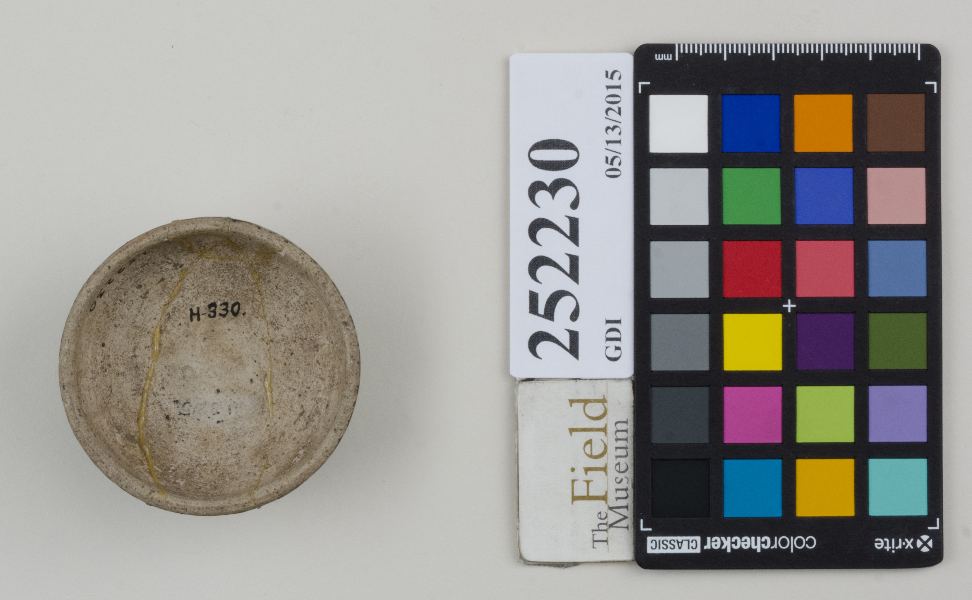 Bottom (c) Field Museum of Natural History - CC BY-NC 4.0