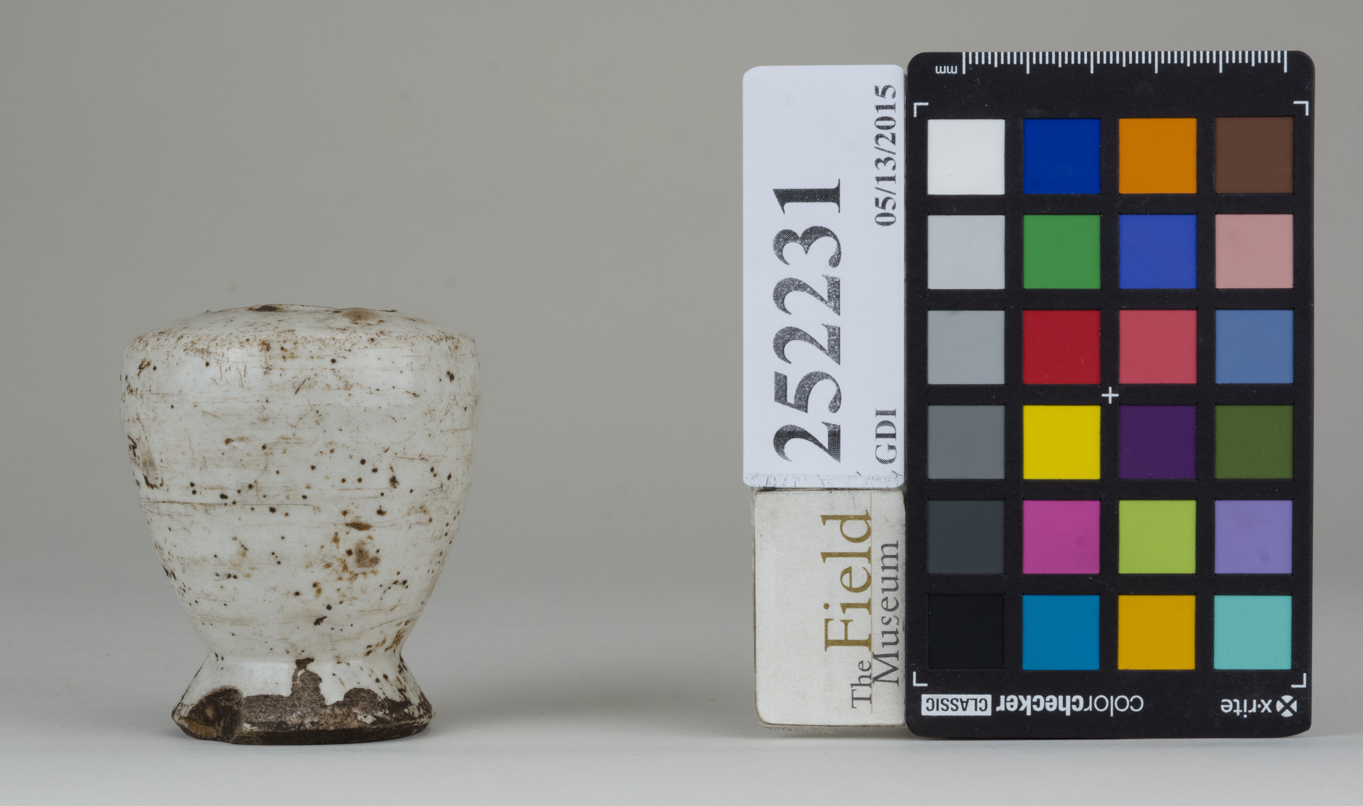 reference image, back (c) Field Museum of Natural History - CC BY-NC 4.0