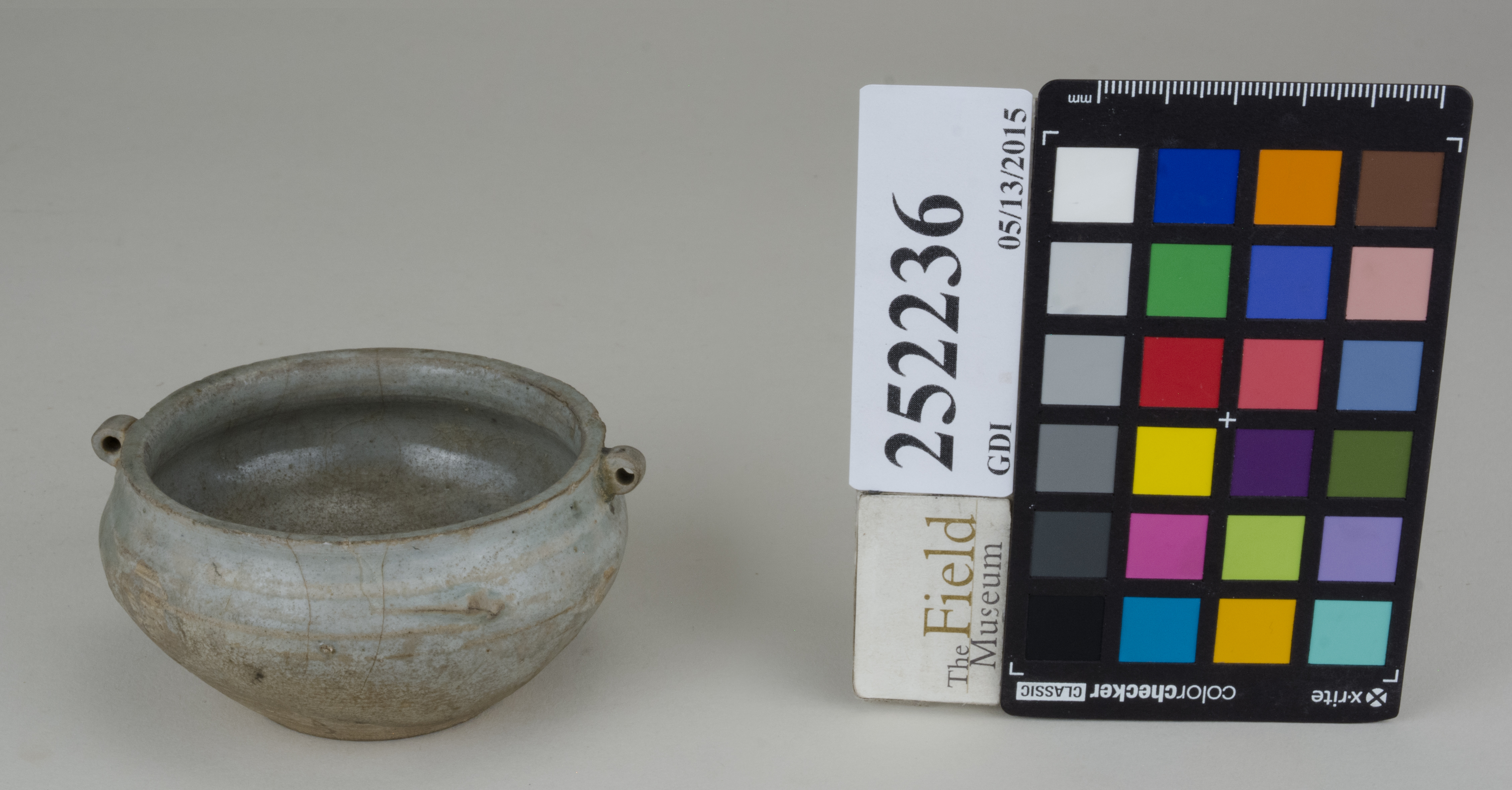 FrontAngle (c) Field Museum of Natural History - CC BY-NC 4.0