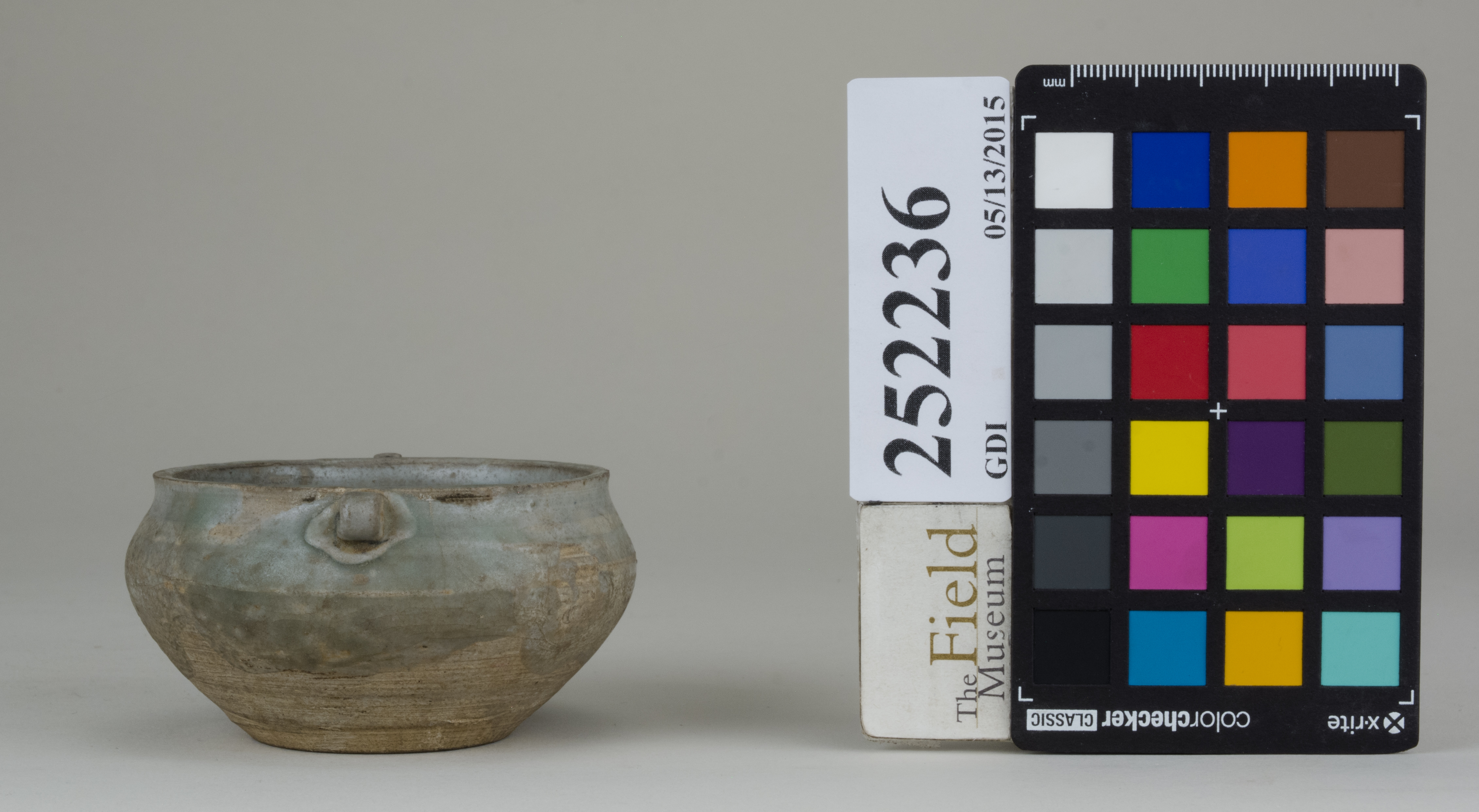 Right (c) Field Museum of Natural History - CC BY-NC 4.0