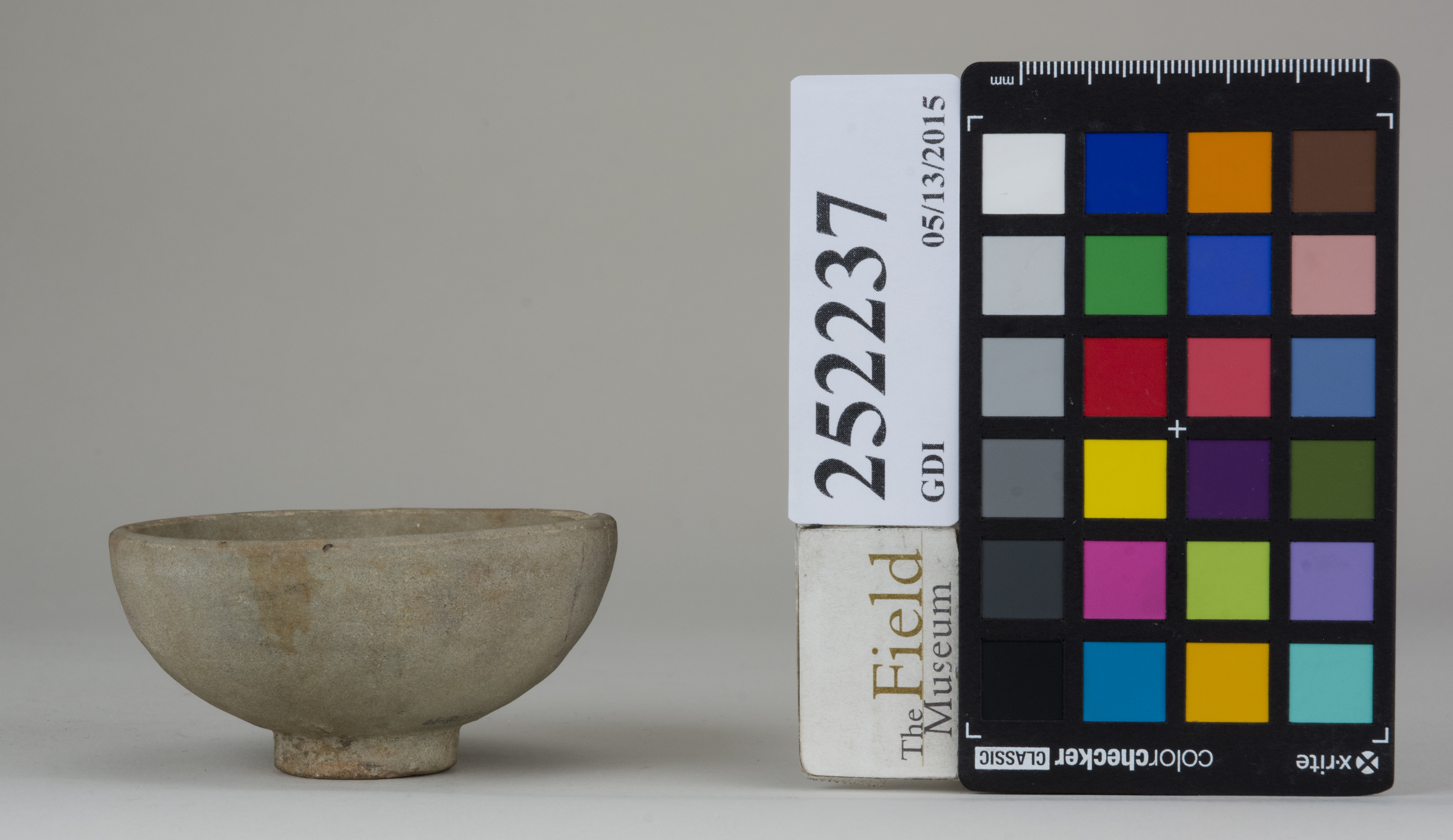 reference image, back (c) Field Museum of Natural History - CC BY-NC 4.0