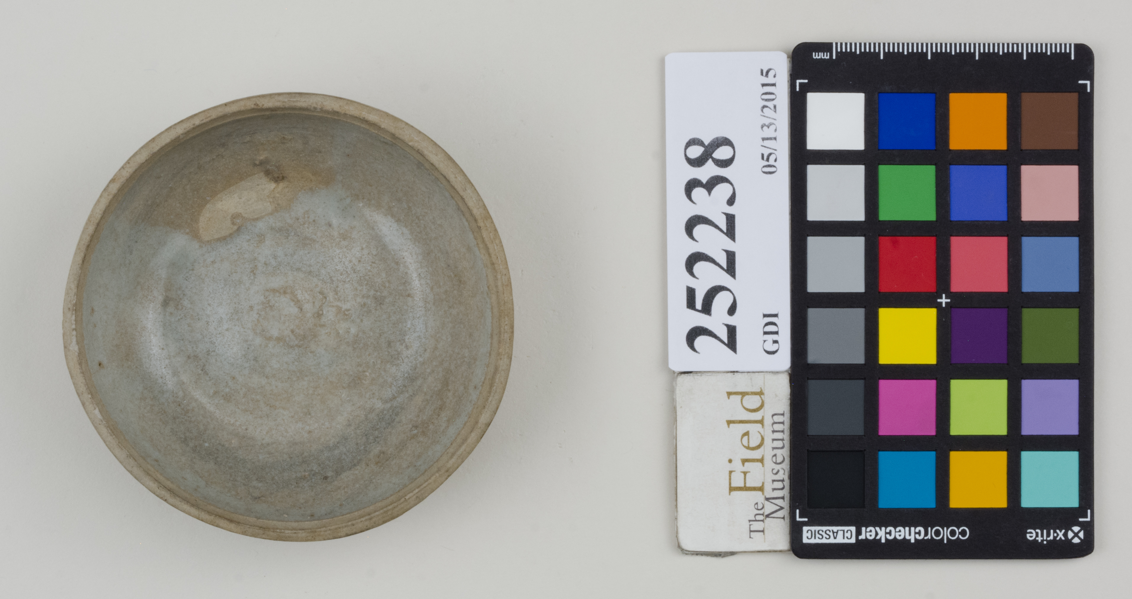 Top (c) Field Museum of Natural History - CC BY-NC 4.0