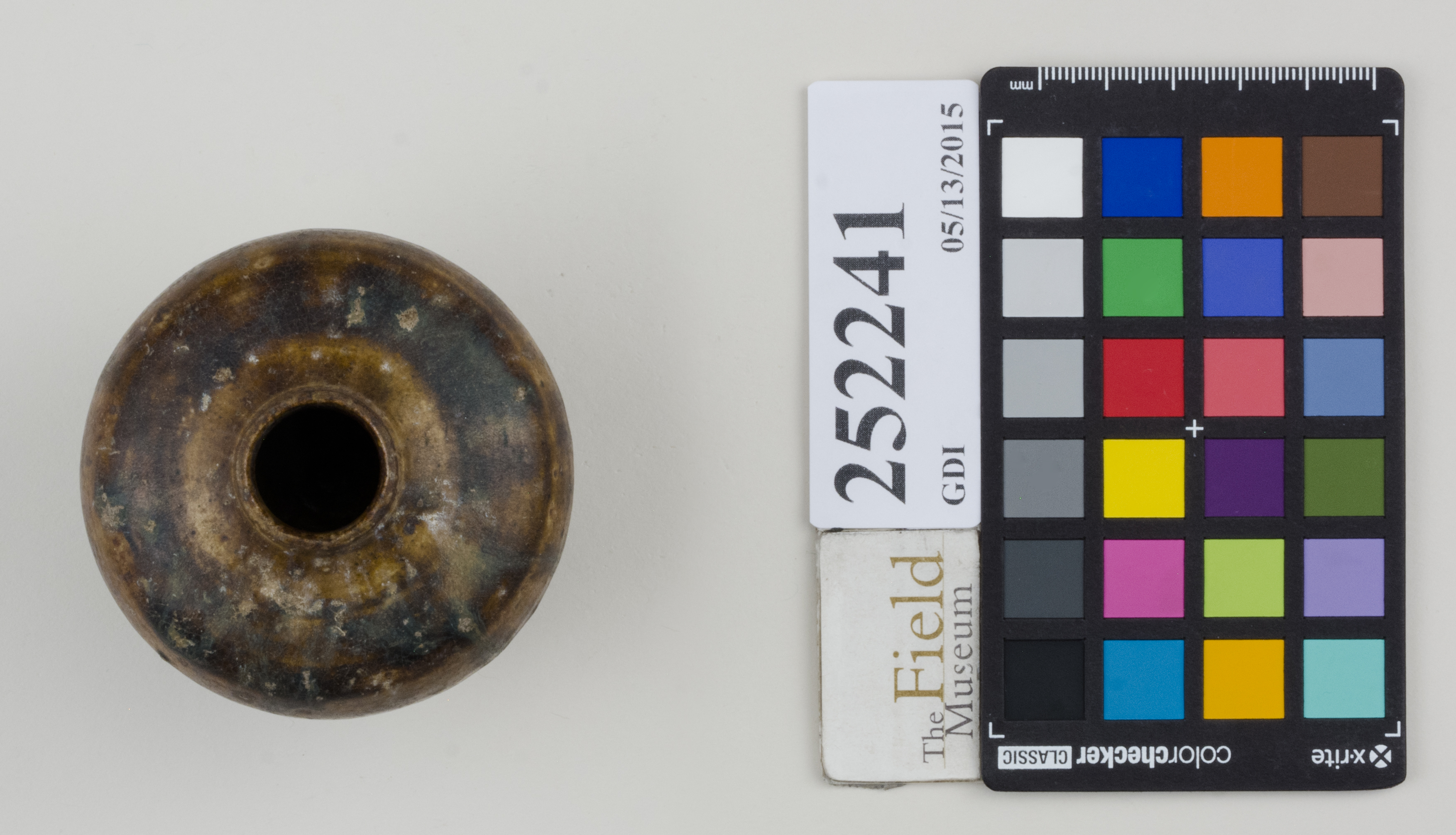 Top (c) Field Museum of Natural History - CC BY-NC 4.0